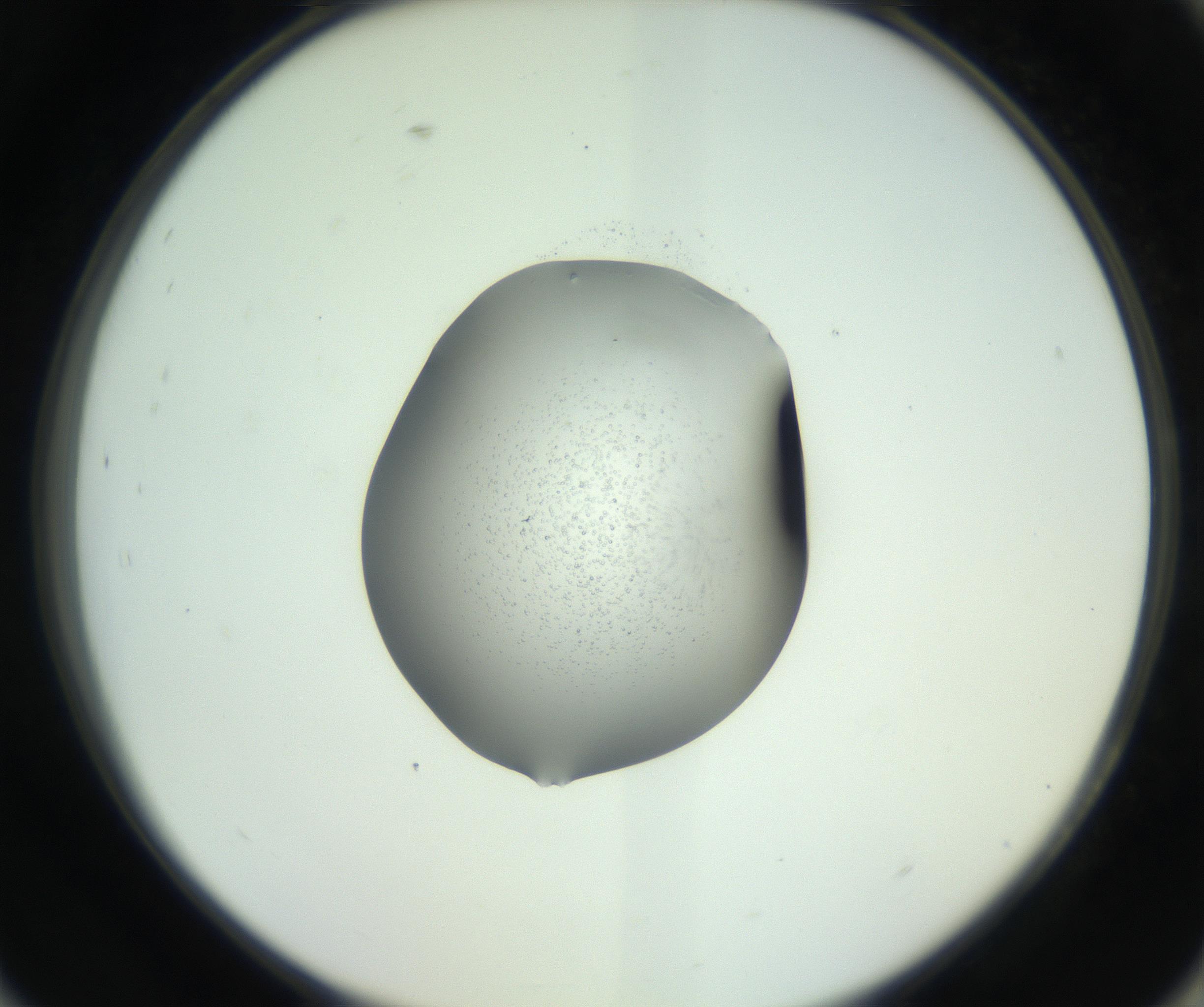 RI01_03_000_0212_Proj1_Clon1_MC_0000MC102746_005_160927_09_08_02_00_99_002_001_RAI.jpg