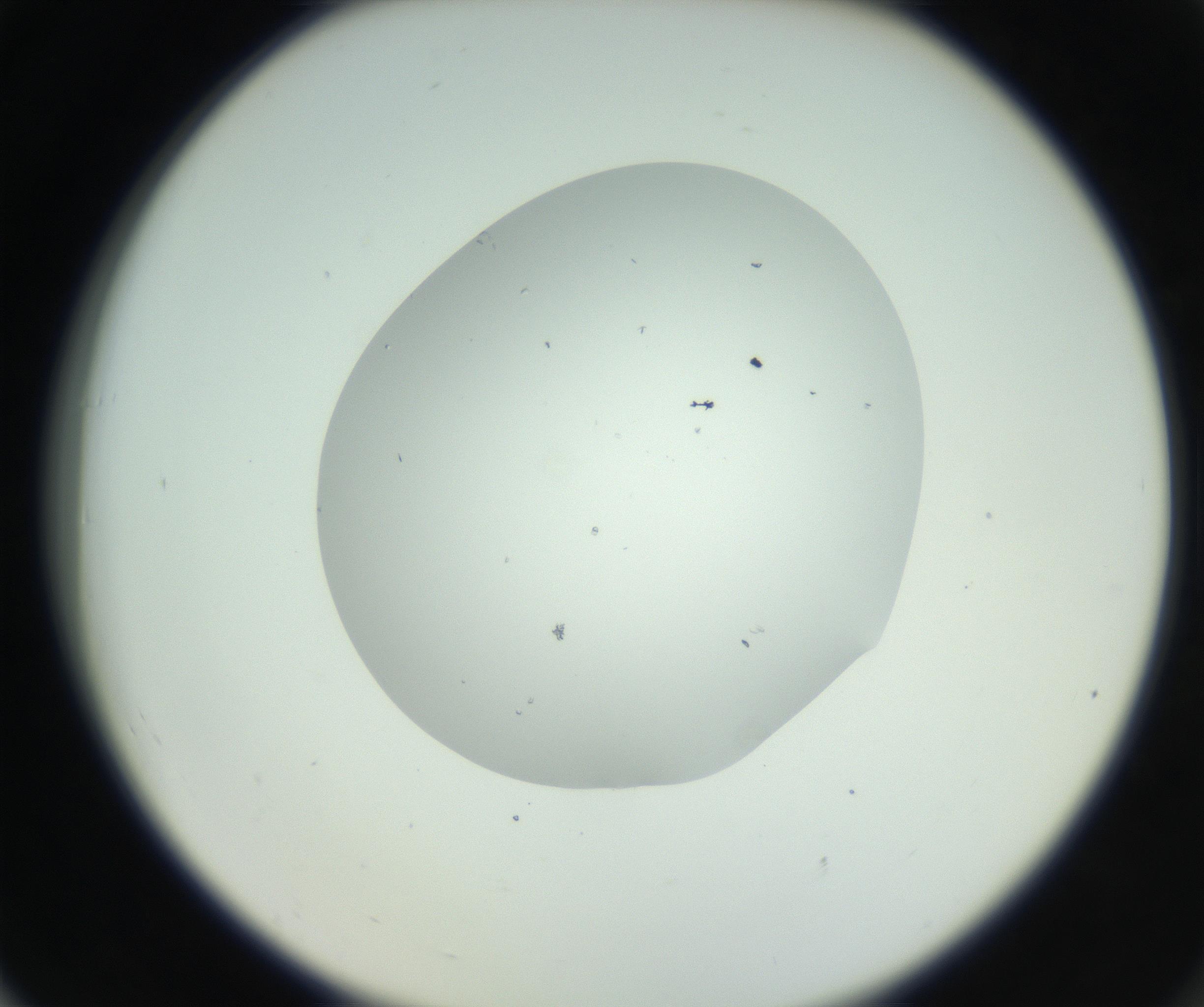 RI01_03_000_0212_Proj1_Clon1_MC_0000MC102747_003_160926_06_07_02_00_99_002_001_RAI.jpg