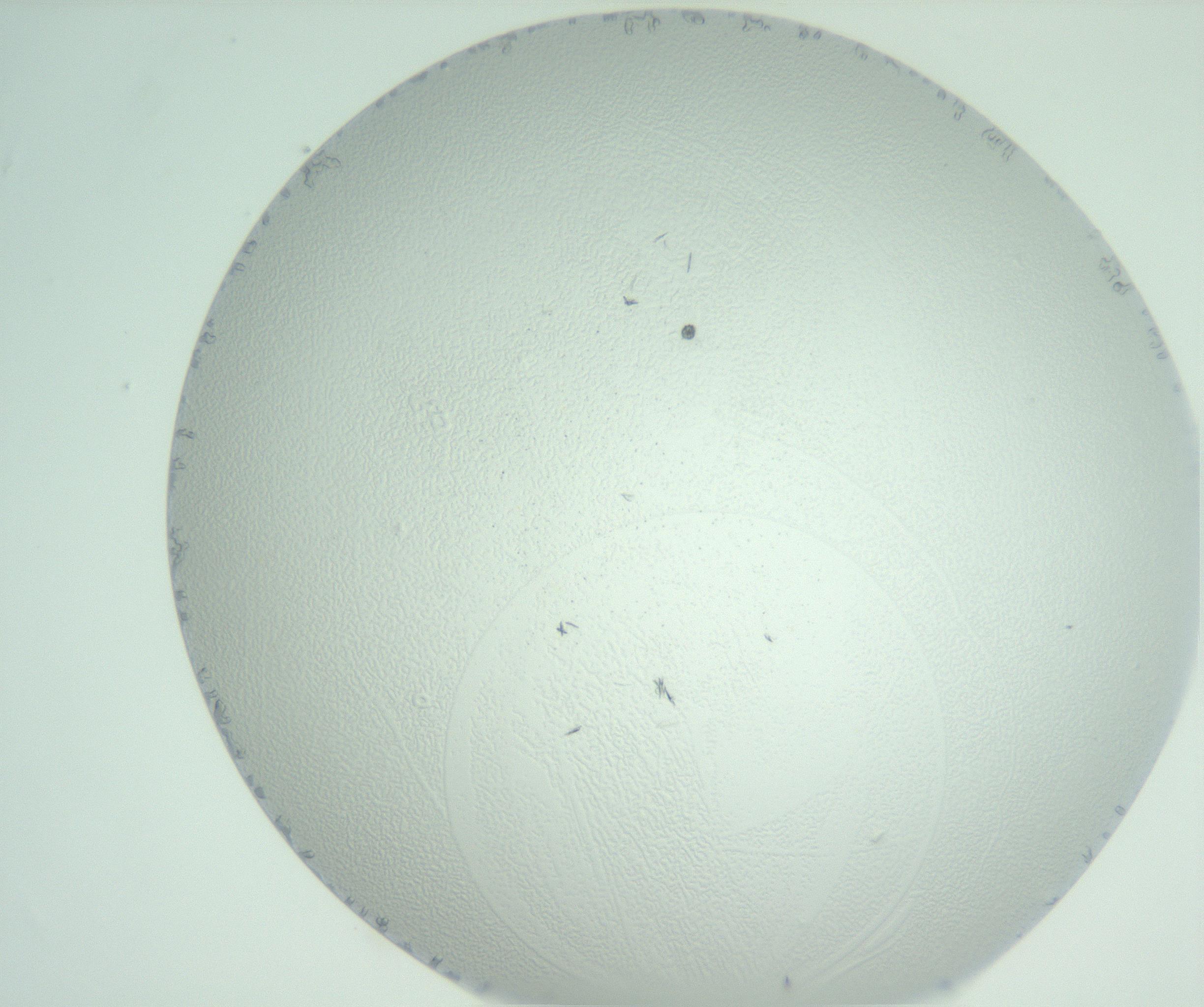 RI01_03_000_0212_Proj1_Clon1_MC_0000MC102747_011_161104_03_02_02_00_99_002_001_RAI.jpg