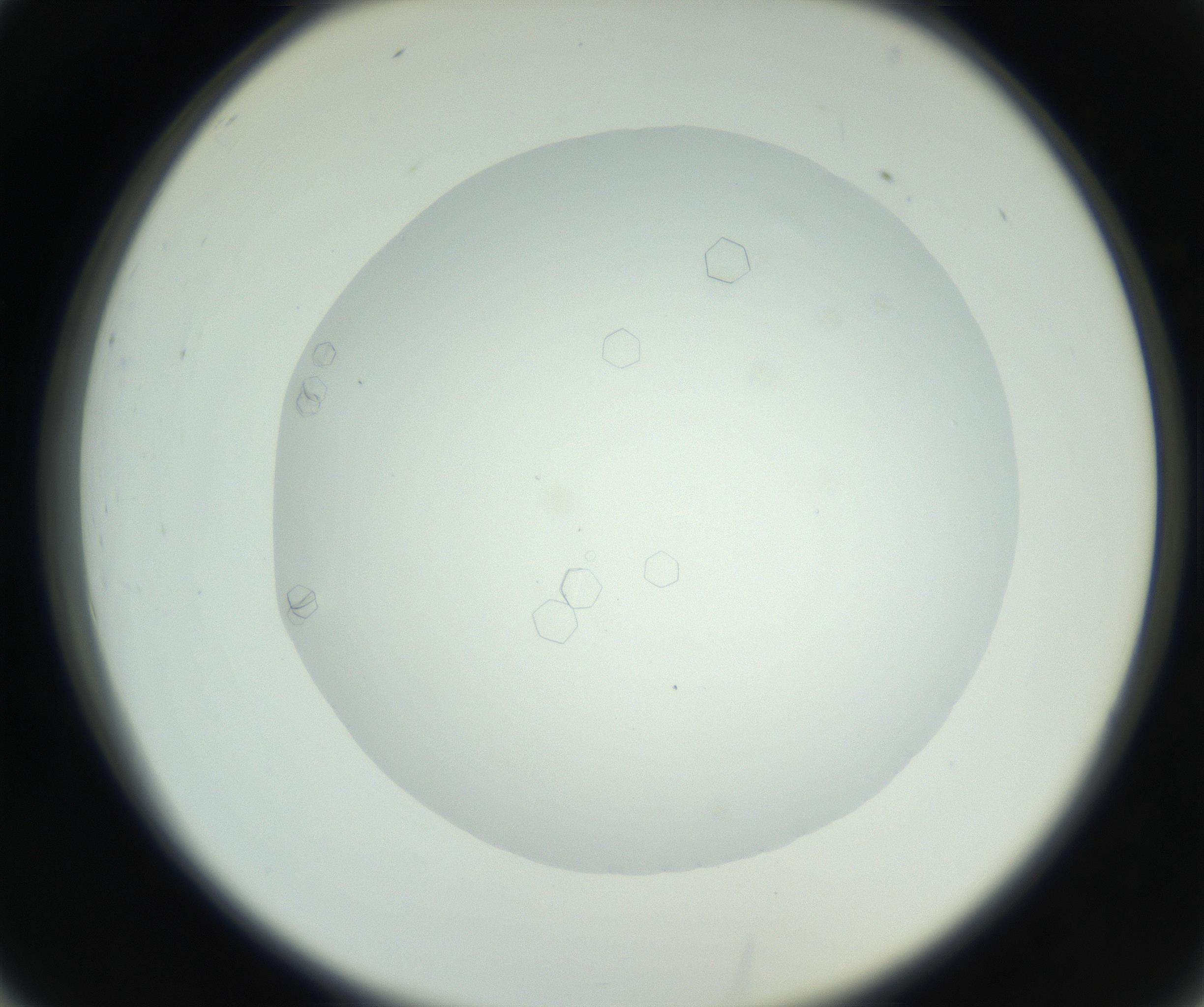 RI01_03_000_0212_Proj1_Clon1_MC_0000MC102748_002_160924_02_03_02_00_99_002_001_RAI.jpg