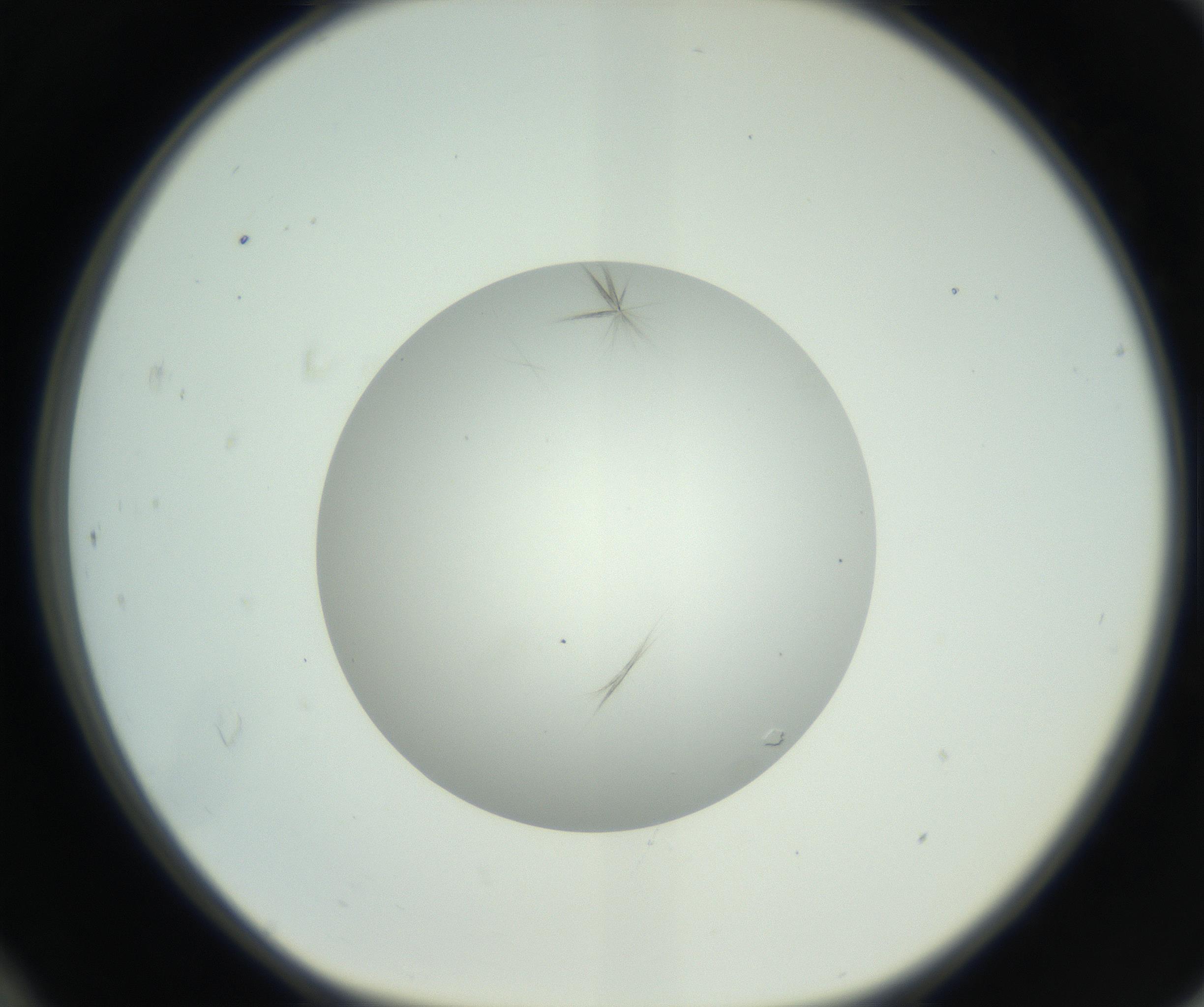 RI01_03_000_0212_Proj1_Clon1_MC_0000MC102748_003_160926_12_04_01_00_99_002_001_RAI.jpg