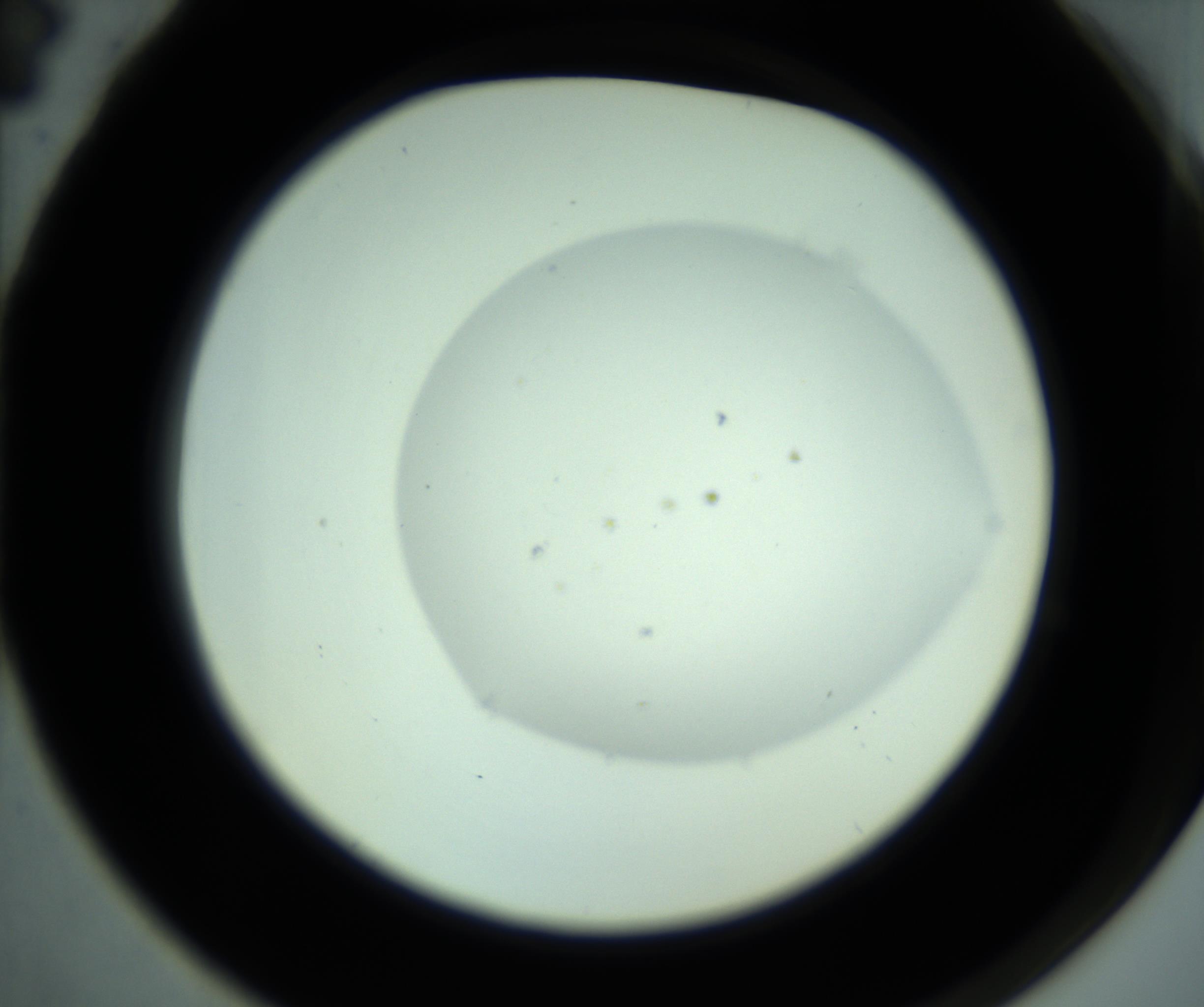 RI01_03_000_0212_Proj1_Clon1_MC_0000MC102748_011_161104_04_06_02_00_98_002_001_RAI.jpg