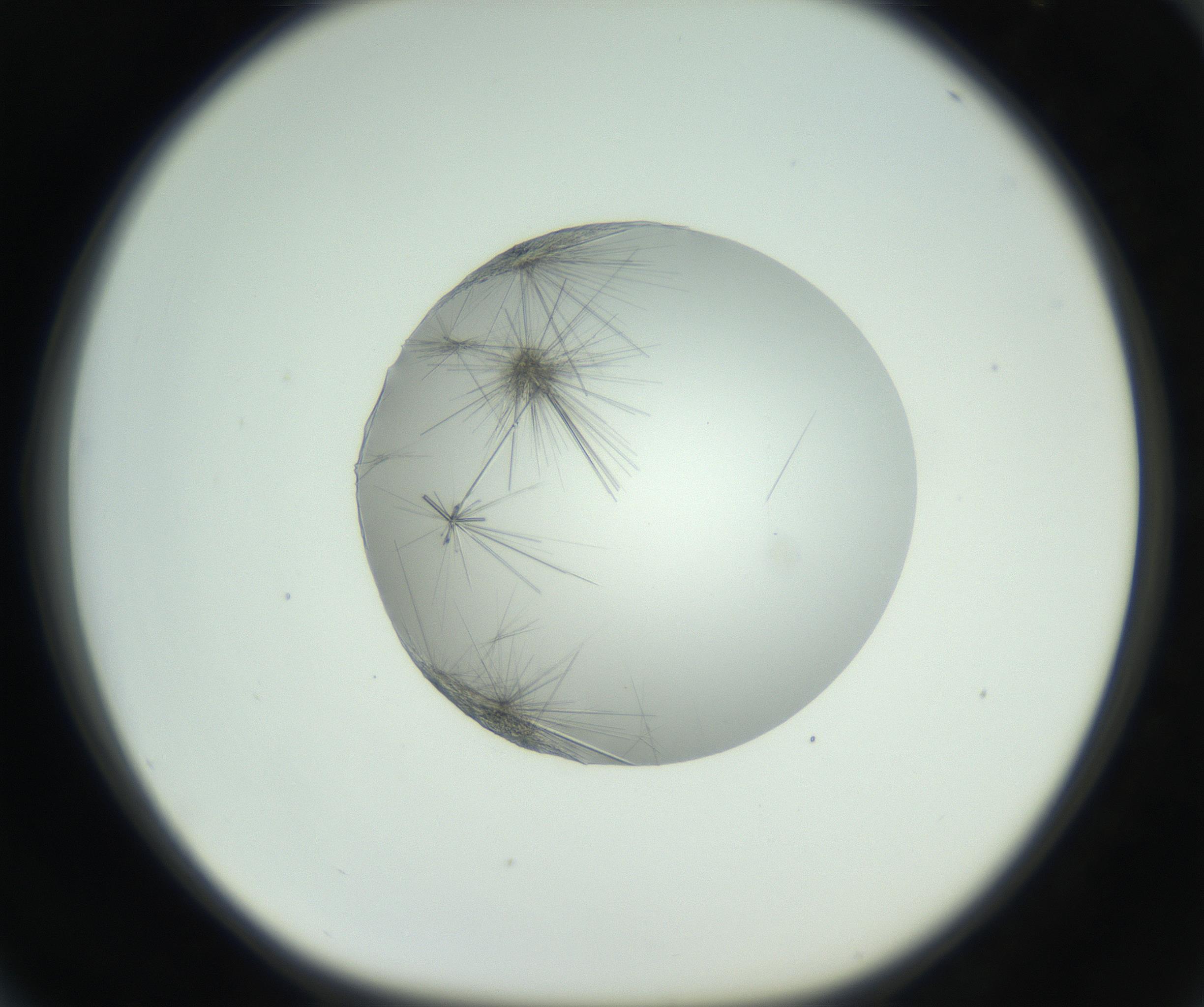 RI01_03_000_0212_Proj1_Clon1_MC_0000MC102749_003_160926_04_06_01_00_99_002_001_RAI.jpg