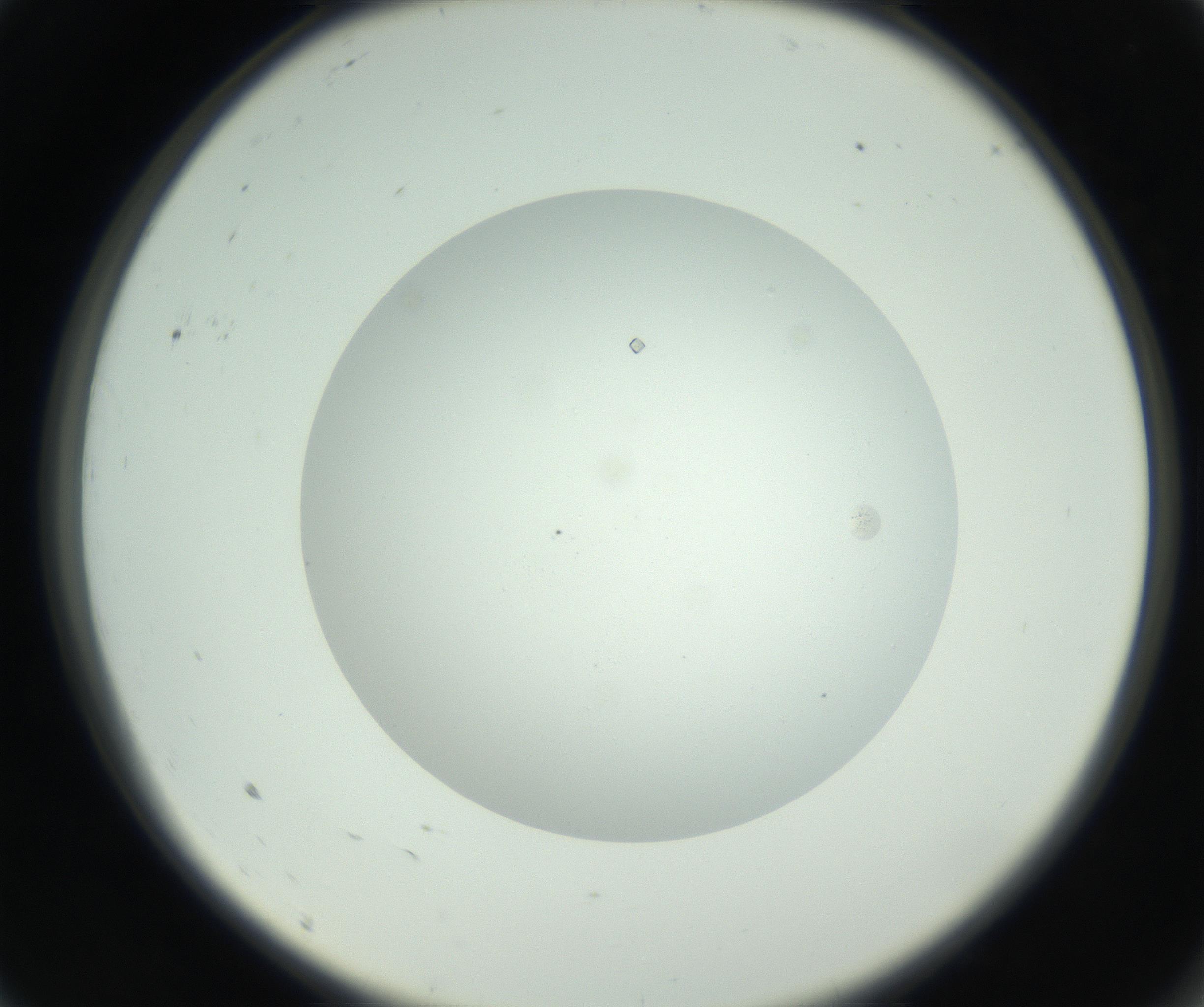 RI01_03_000_0212_Proj1_Clon1_MC_0000MC102749_003_160926_09_01_02_00_99_002_001_RAI.jpg