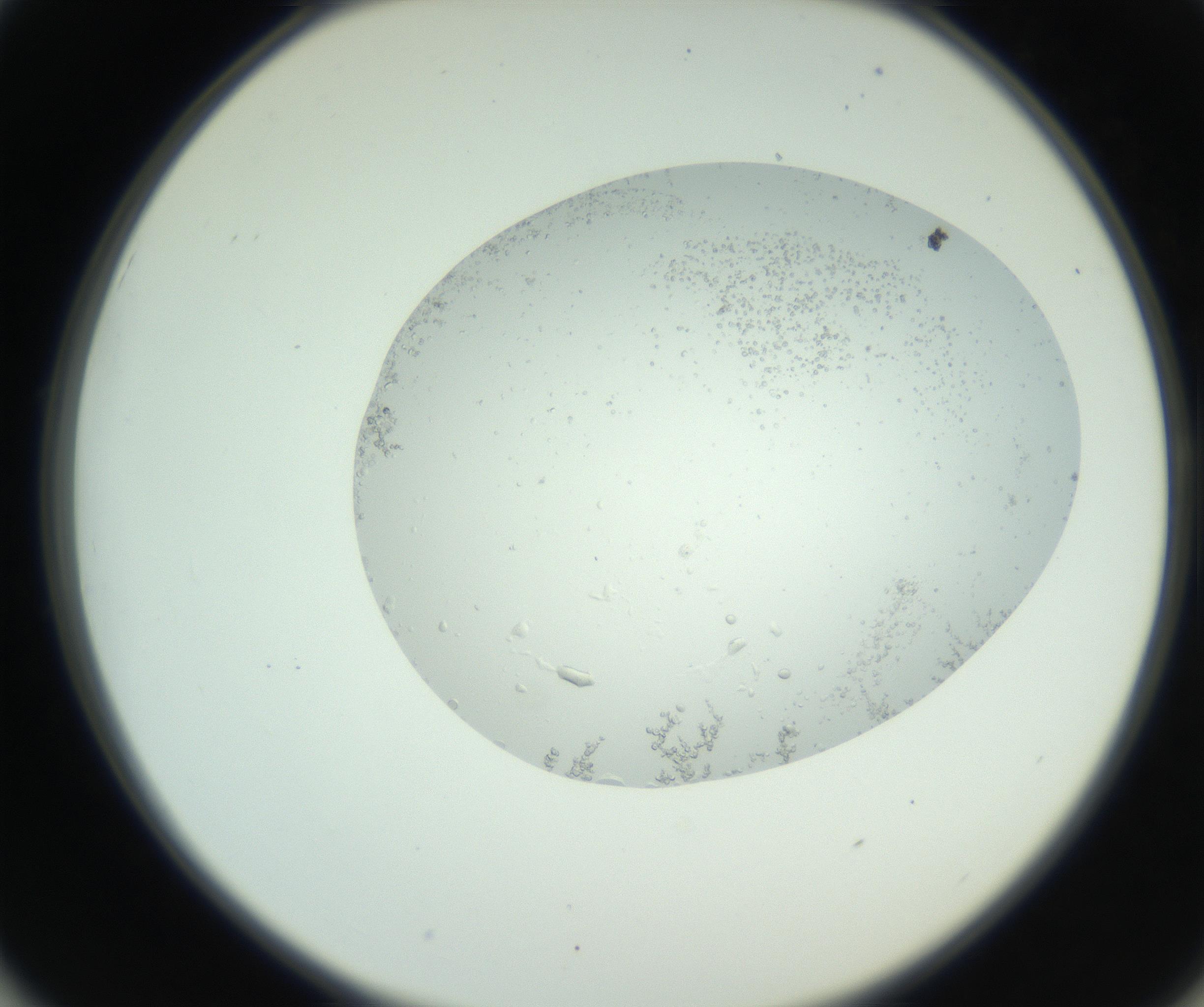RI01_03_000_0212_Proj1_Clon1_MC_0000MC102749_004_160928_01_05_02_00_99_002_001_RAI.jpg