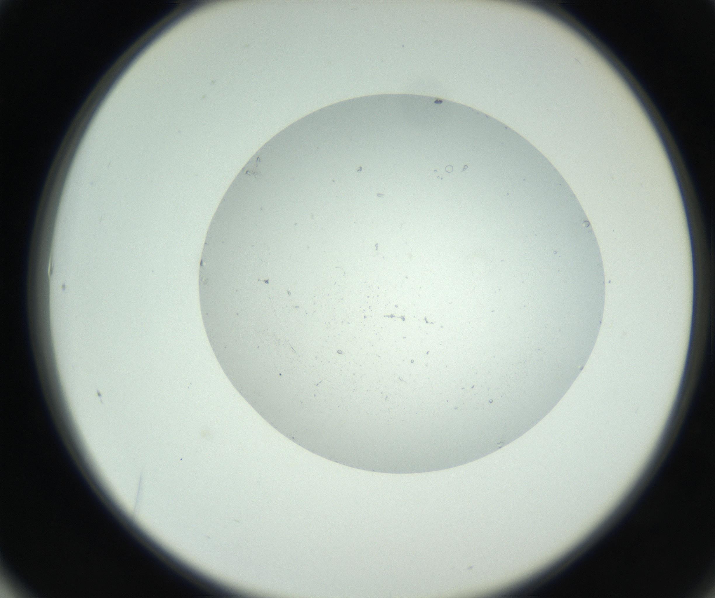 RI01_03_000_0212_Proj1_Clon1_MC_0000MC102749_004_160928_01_06_02_00_99_002_001_RAI.jpg