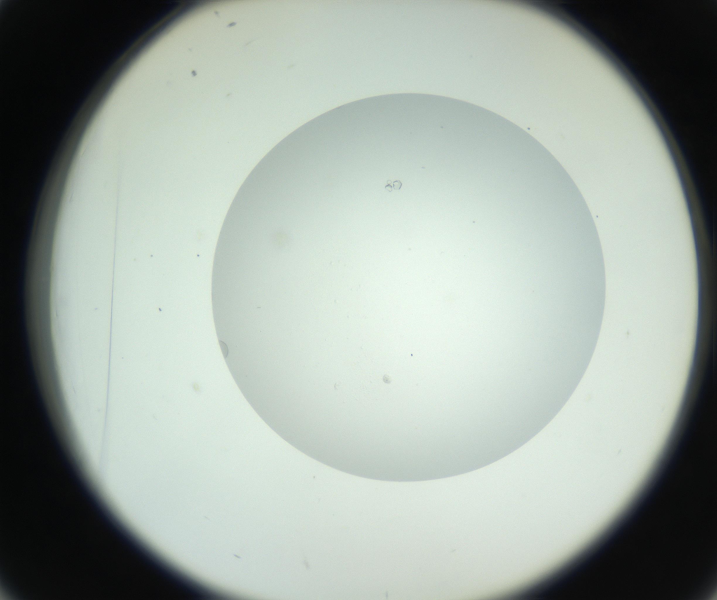 RI01_03_000_0212_Proj1_Clon1_MC_0000MC102749_004_160928_02_04_02_00_99_002_001_RAI.jpg