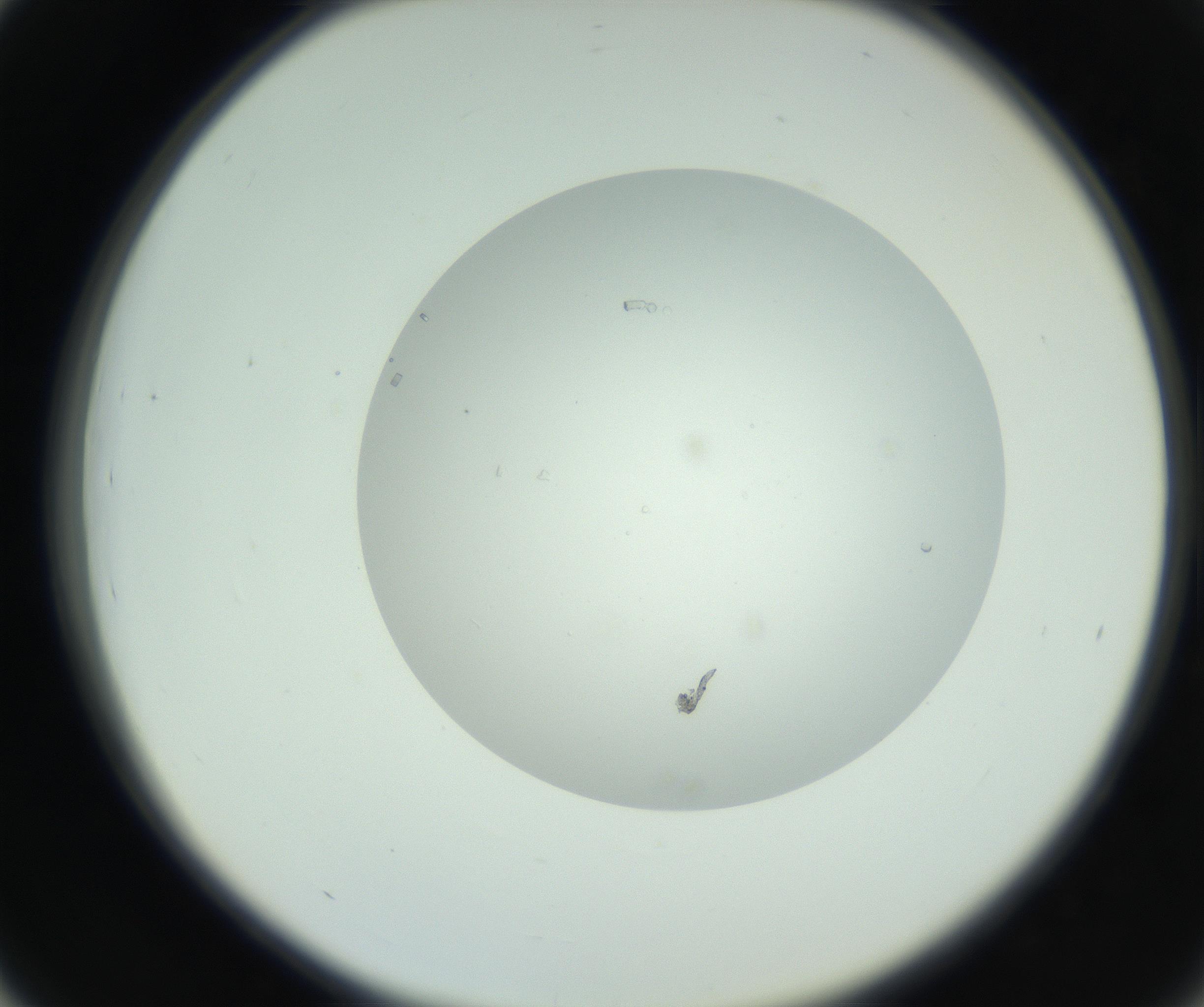 RI01_03_000_0212_Proj1_Clon1_MC_0000MC102749_004_160928_03_04_02_00_99_002_001_RAI.jpg