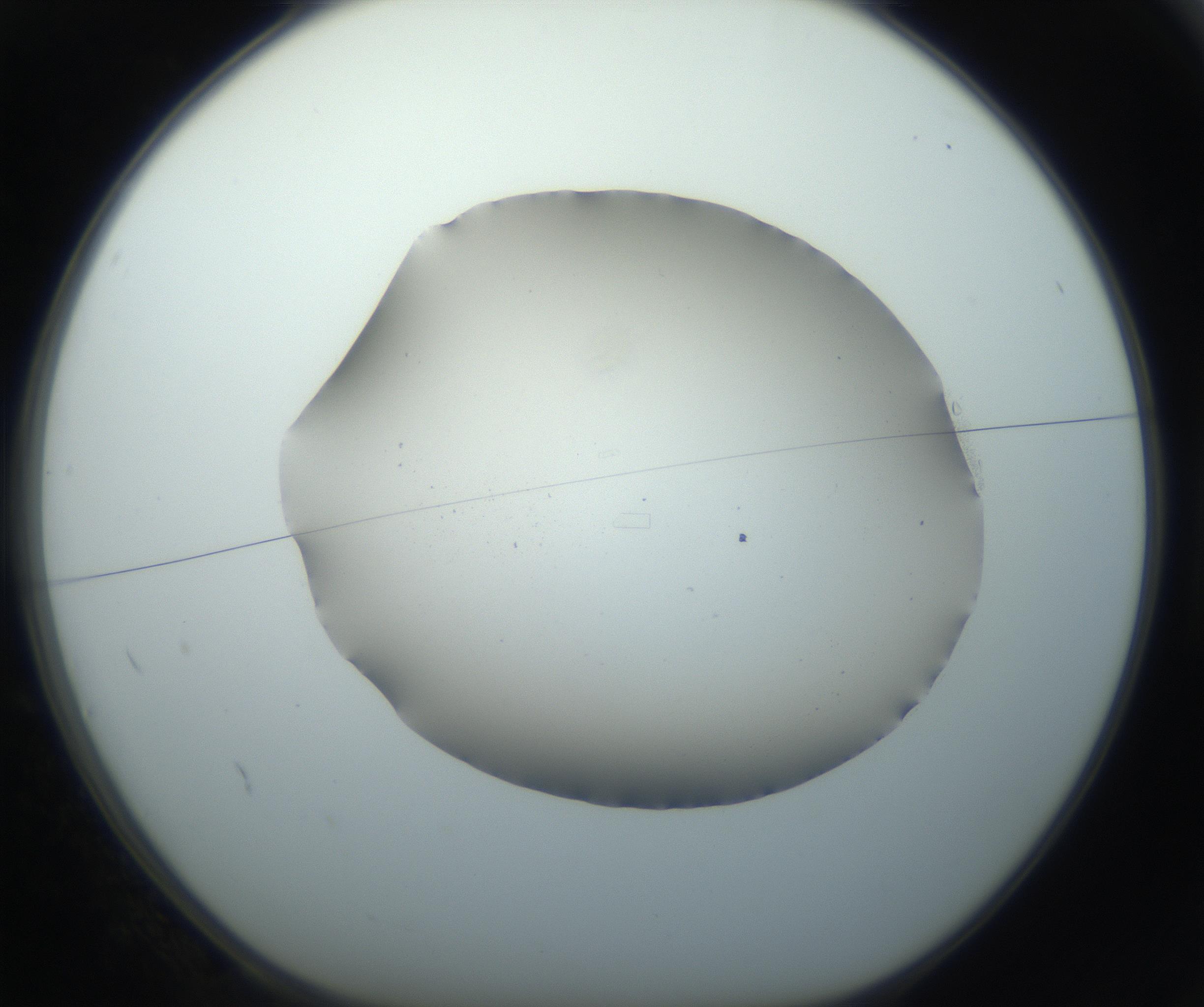 RI01_03_000_0212_Proj1_Clon1_MC_0000MC102750_002_160924_02_01_01_00_99_002_001_RAI.jpg