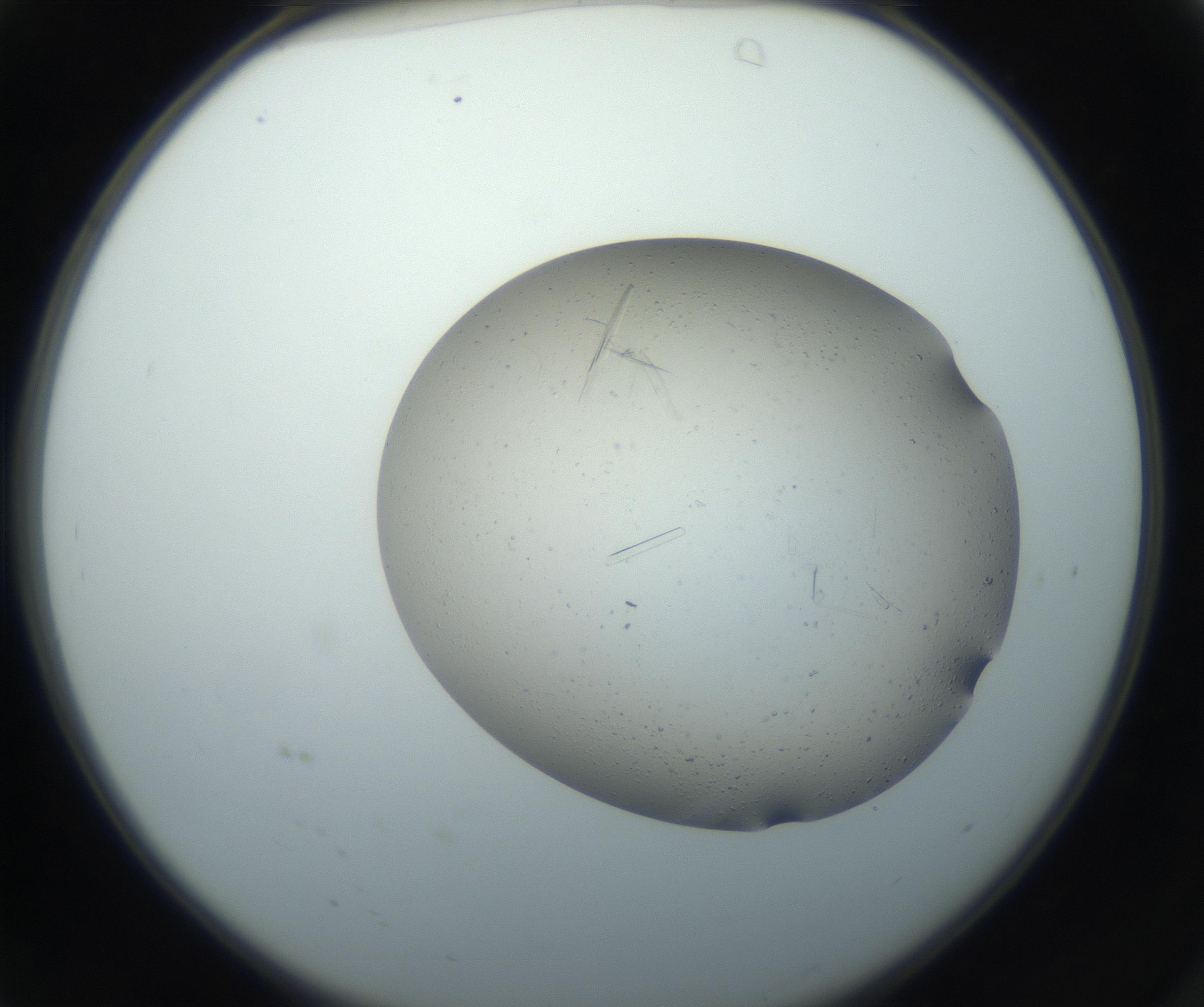 RI01_03_000_0212_Proj1_Clon1_MC_0000MC102750_002_160924_04_01_02_00_99_002_001_RAI.jpg