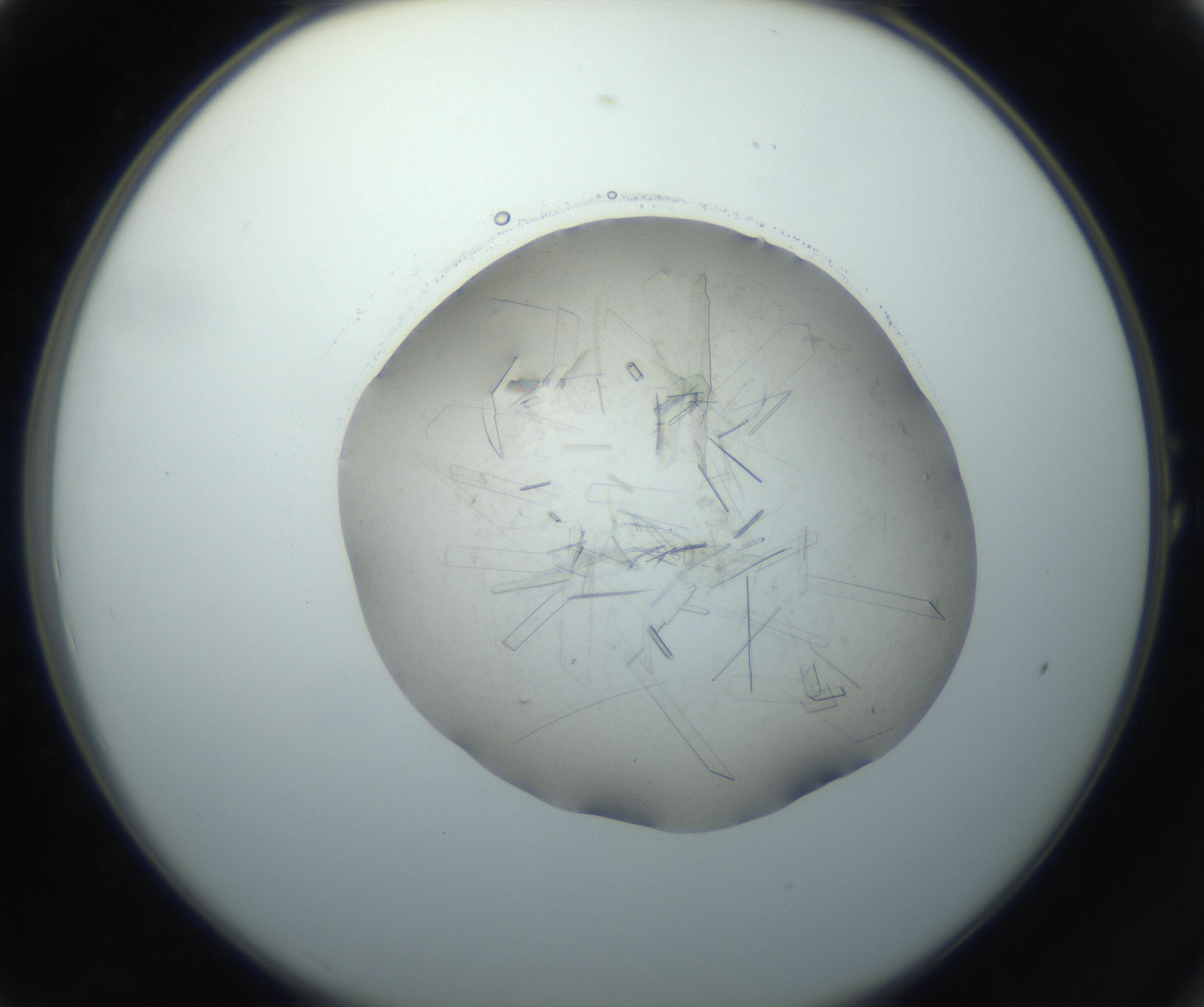 RI01_03_000_0212_Proj1_Clon1_MC_0000MC102759_002_160924_01_01_02_00_99_002_001_RAI.jpg