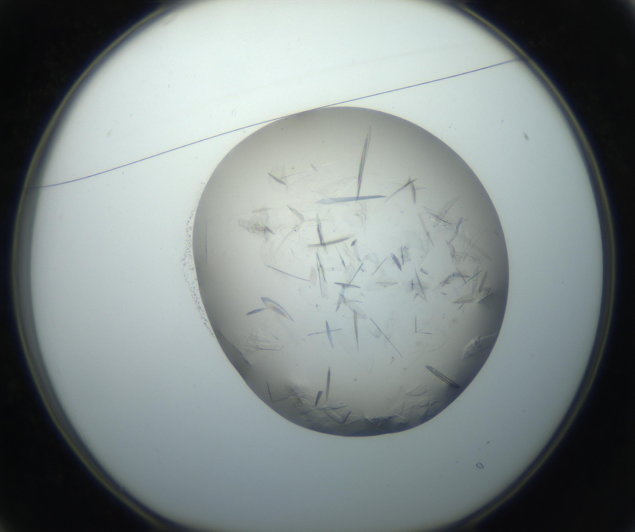 RI01_03_000_0212_Proj1_Clon1_MC_0000MC102759_002_160924_01_02_01_00_99_002_001_RAI.jpg