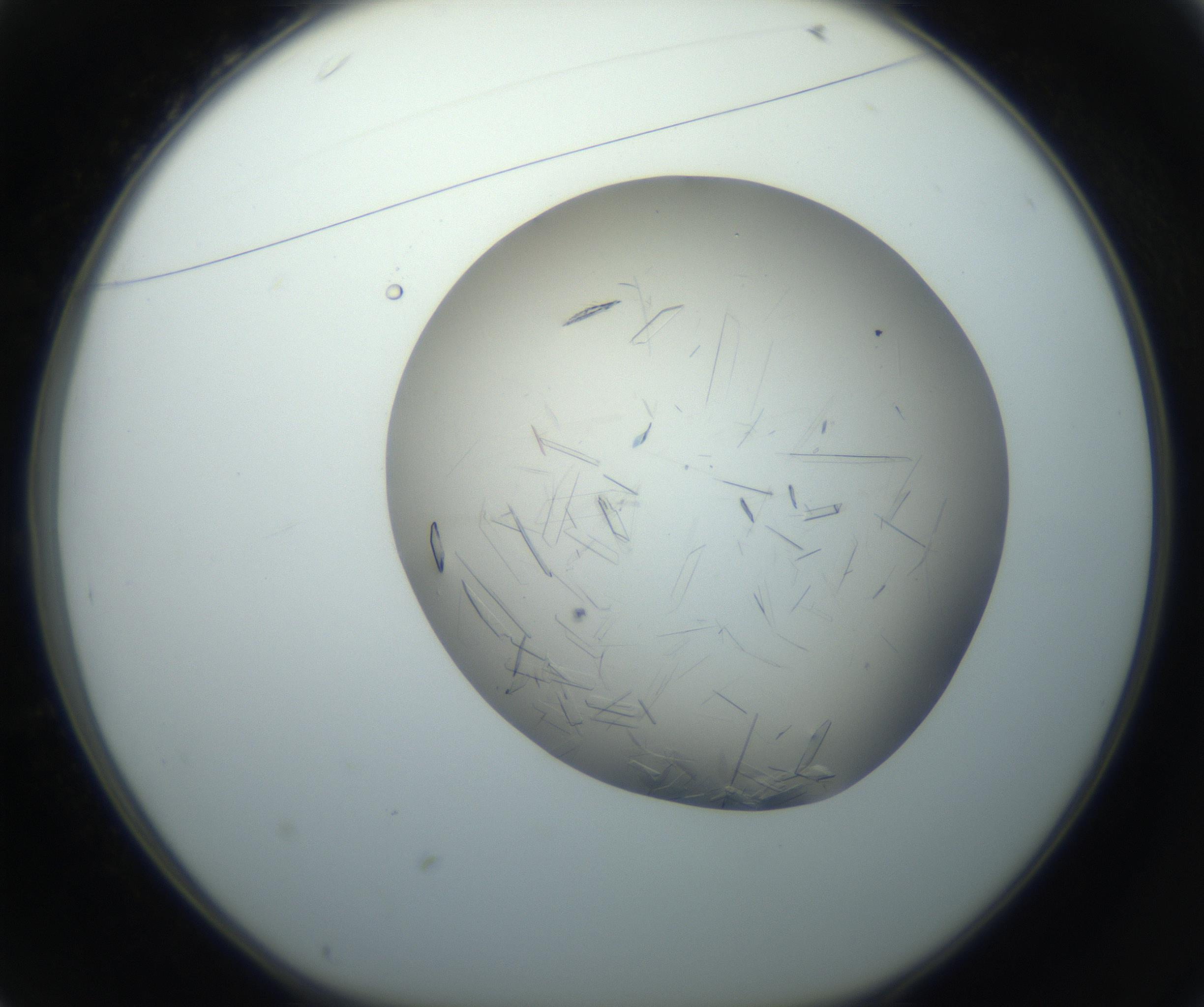 RI01_03_000_0212_Proj1_Clon1_MC_0000MC102759_002_160924_01_03_01_00_99_002_001_RAI.jpg