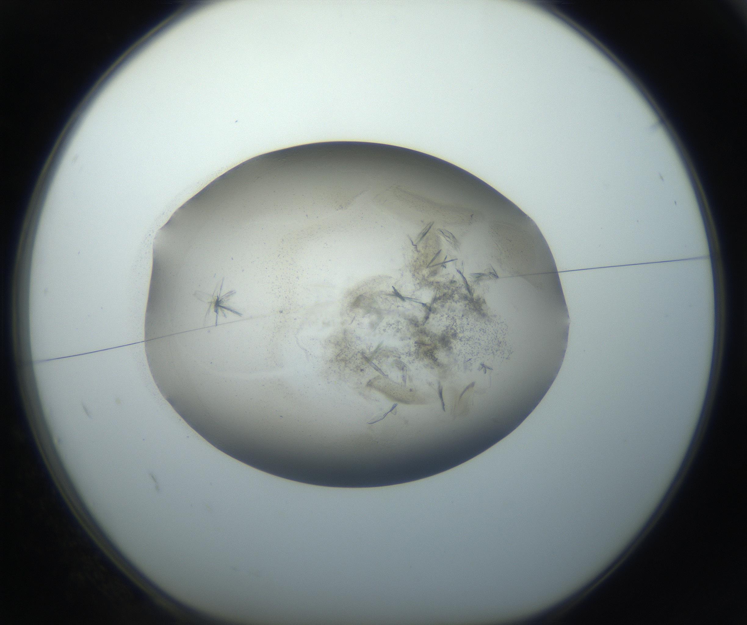 RI01_03_000_0212_Proj1_Clon1_MC_0000MC102759_002_160924_02_01_01_00_99_002_001_RAI.jpg