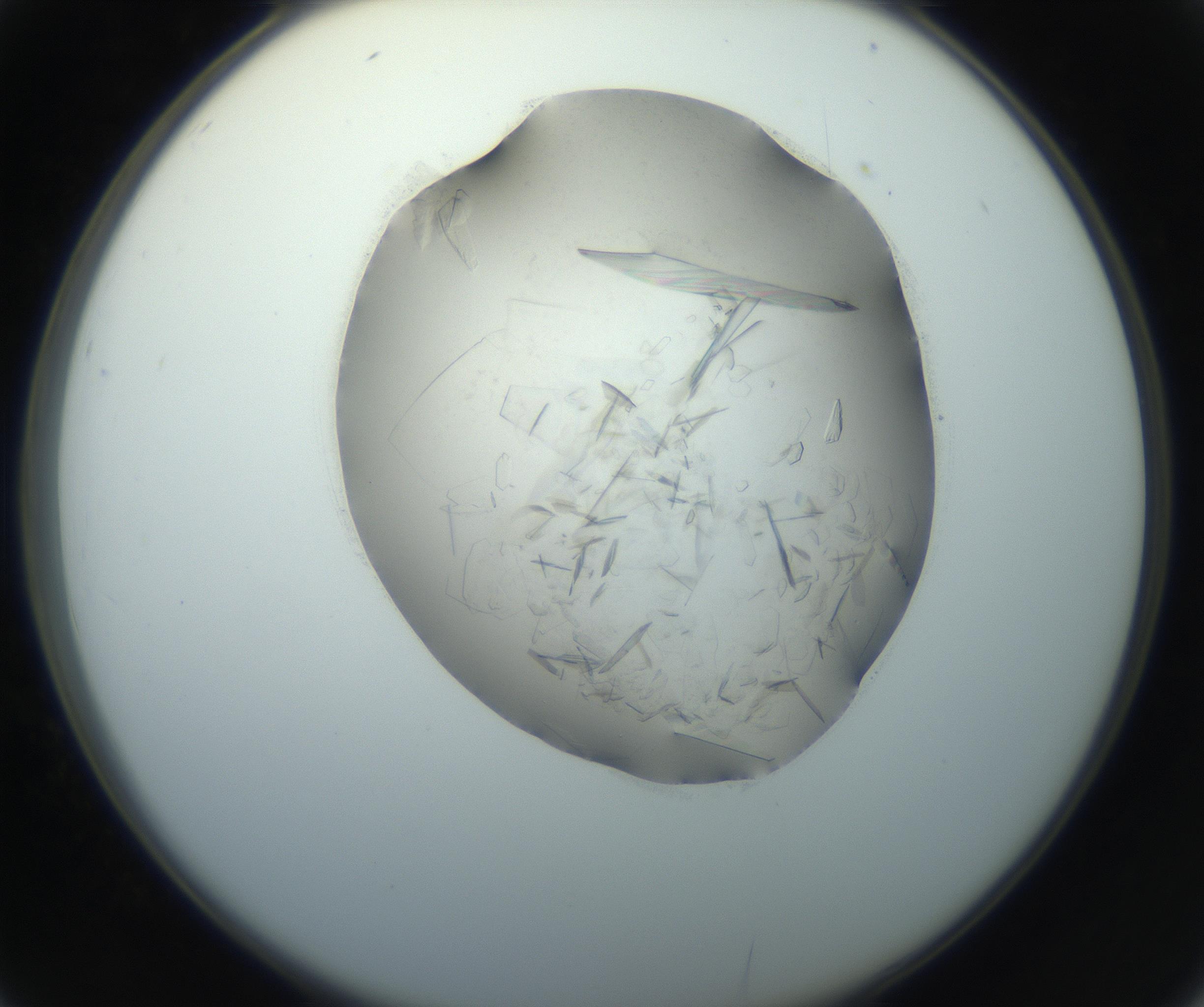 RI01_03_000_0212_Proj1_Clon1_MC_0000MC102759_002_160924_02_03_02_00_99_002_001_RAI.jpg