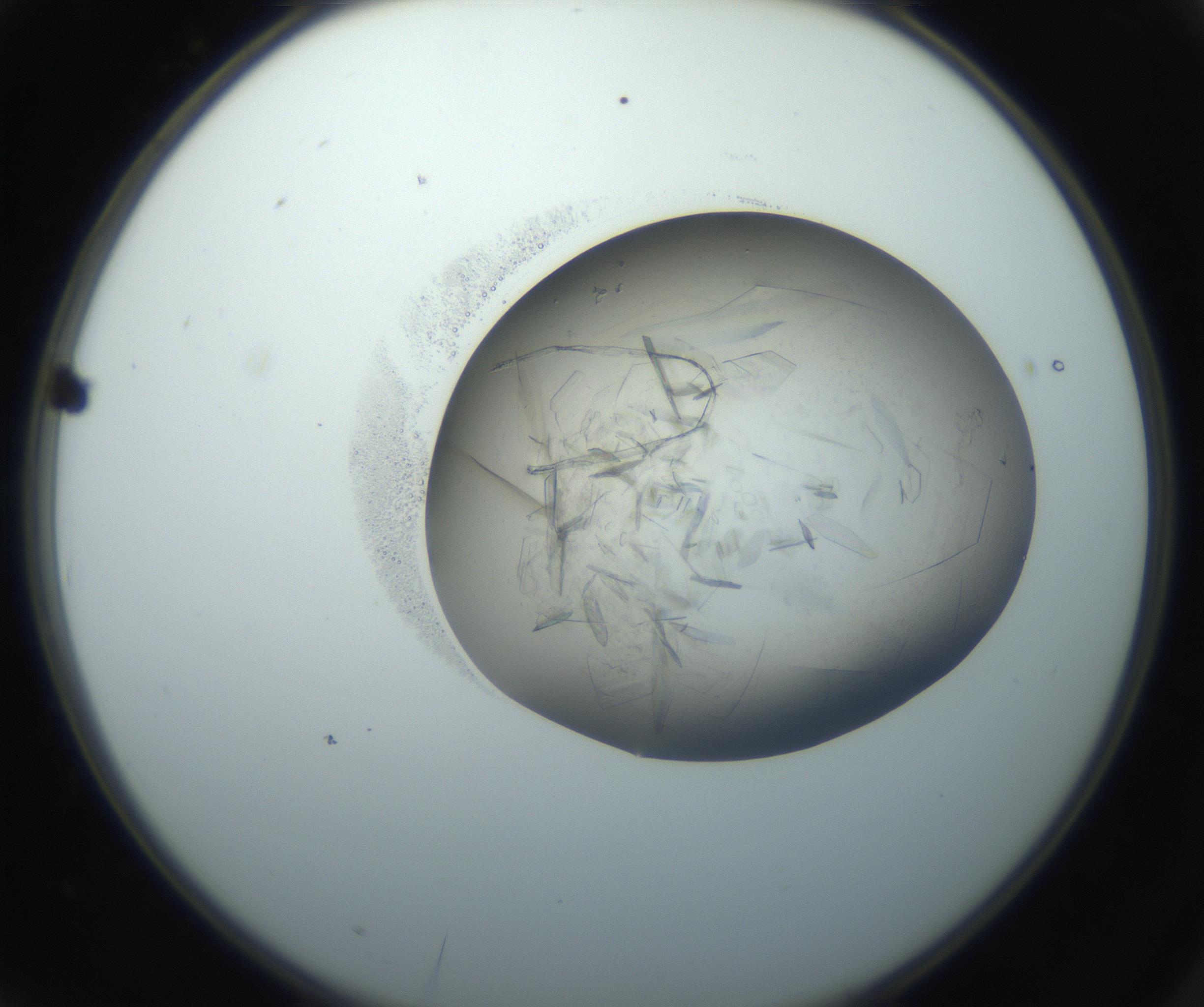 RI01_03_000_0212_Proj1_Clon1_MC_0000MC102759_002_160924_03_01_02_00_99_002_001_RAI.jpg