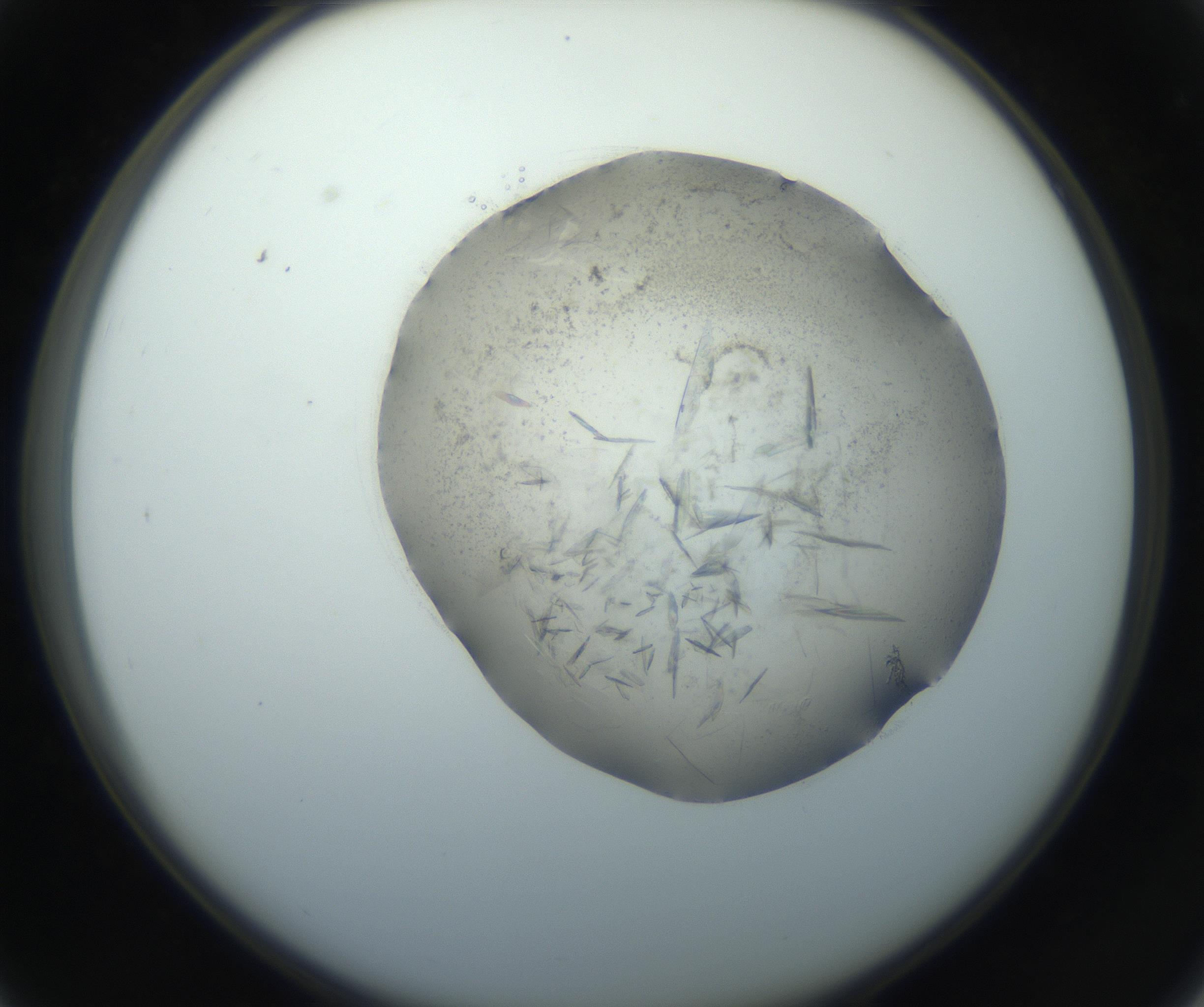 RI01_03_000_0212_Proj1_Clon1_MC_0000MC102759_002_160924_03_03_02_00_99_002_001_RAI.jpg