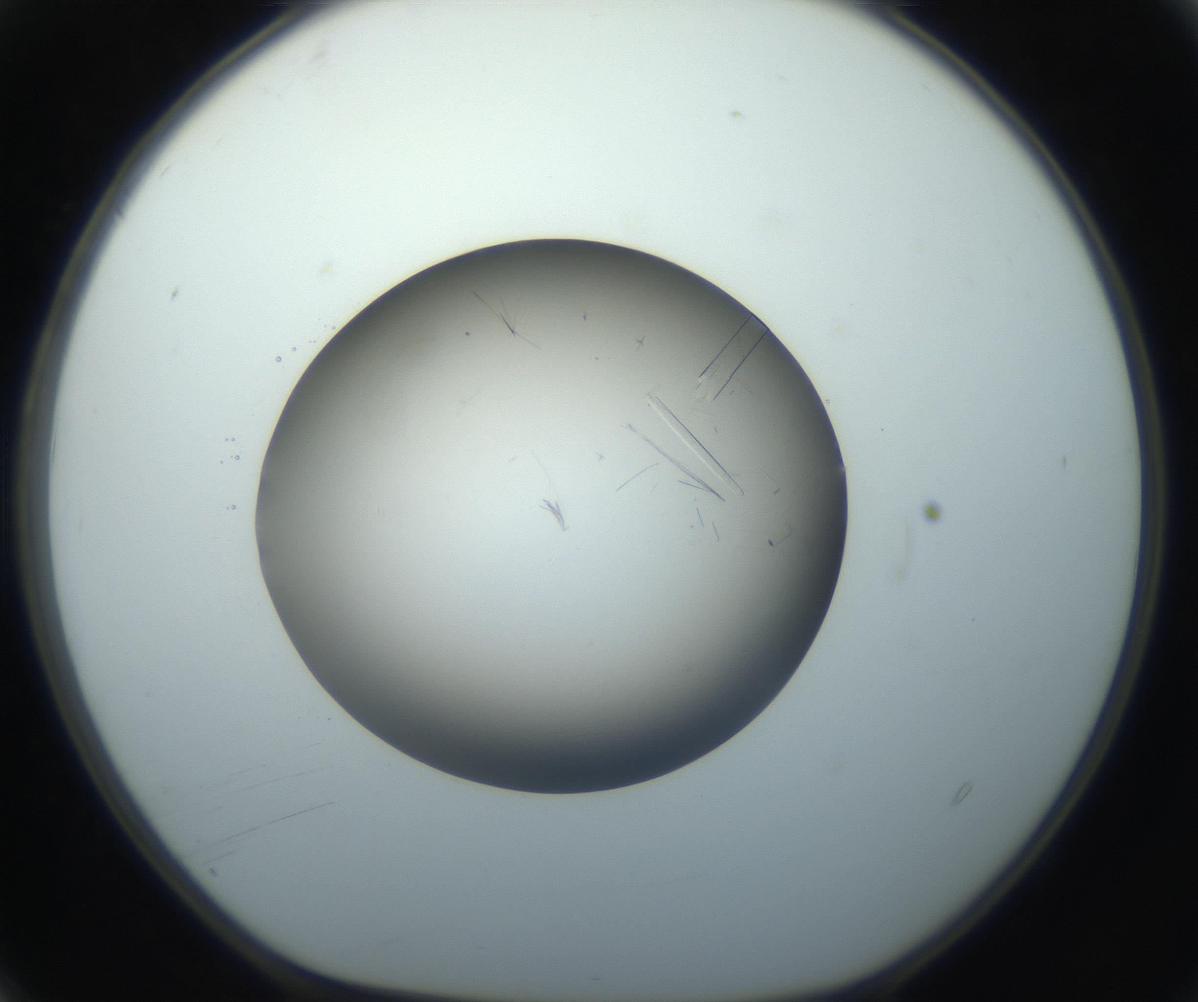 RI01_03_000_0212_Proj1_Clon1_MC_0000MC102759_002_160924_04_01_01_00_99_002_001_RAI.jpg
