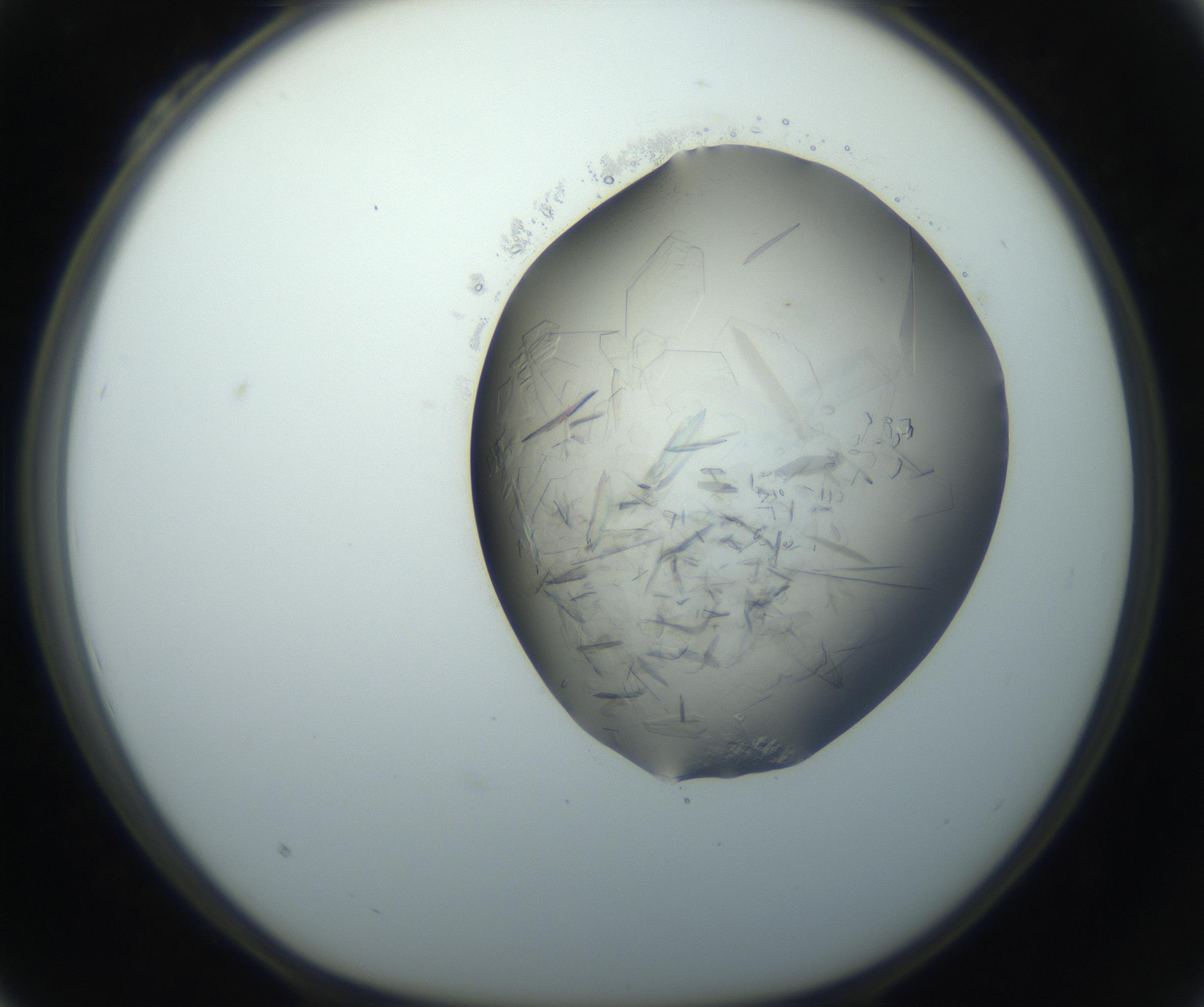 RI01_03_000_0212_Proj1_Clon1_MC_0000MC102759_002_160924_04_03_01_00_99_002_001_RAI.jpg