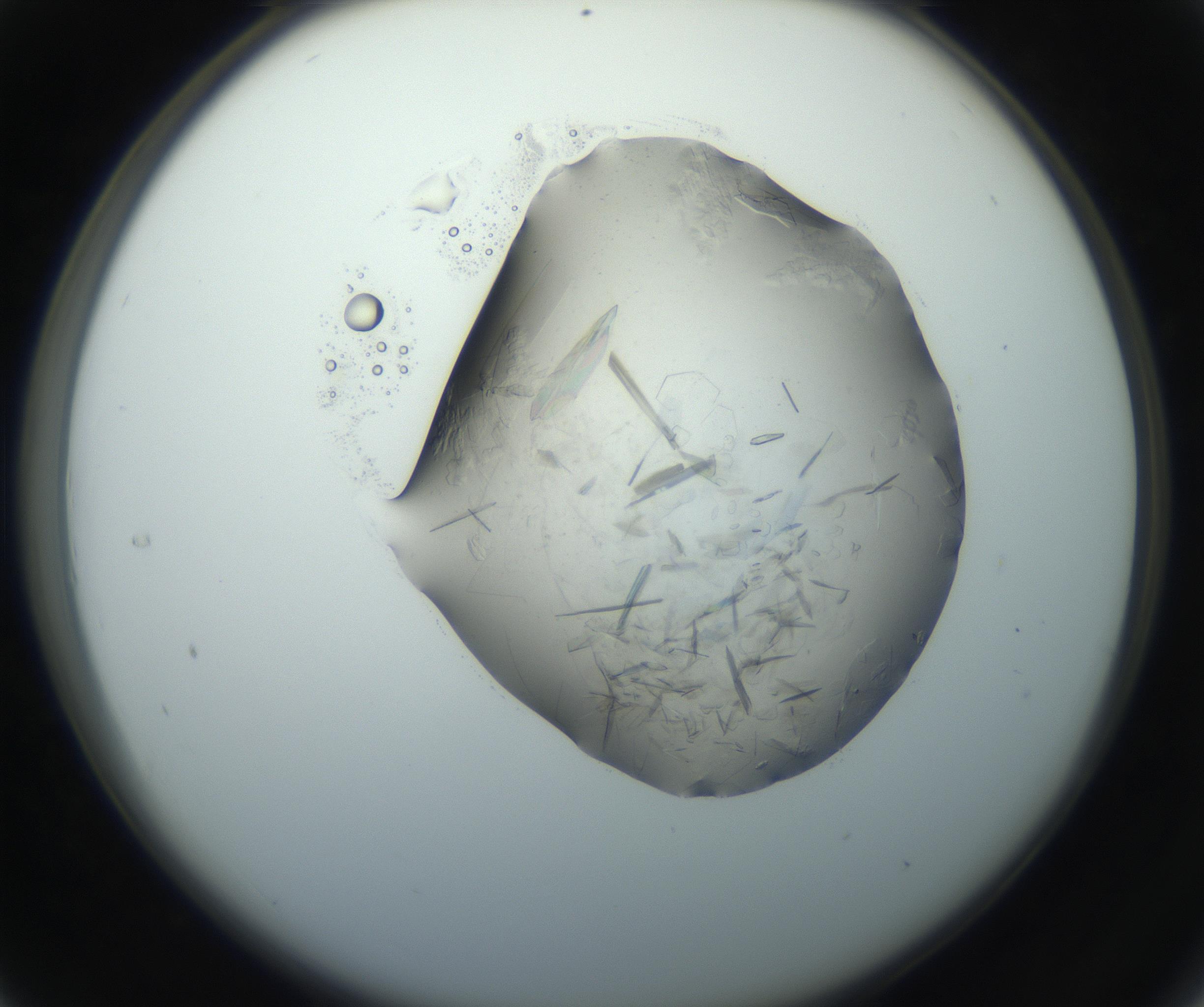 RI01_03_000_0212_Proj1_Clon1_MC_0000MC102759_002_160924_04_03_02_00_99_002_001_RAI.jpg