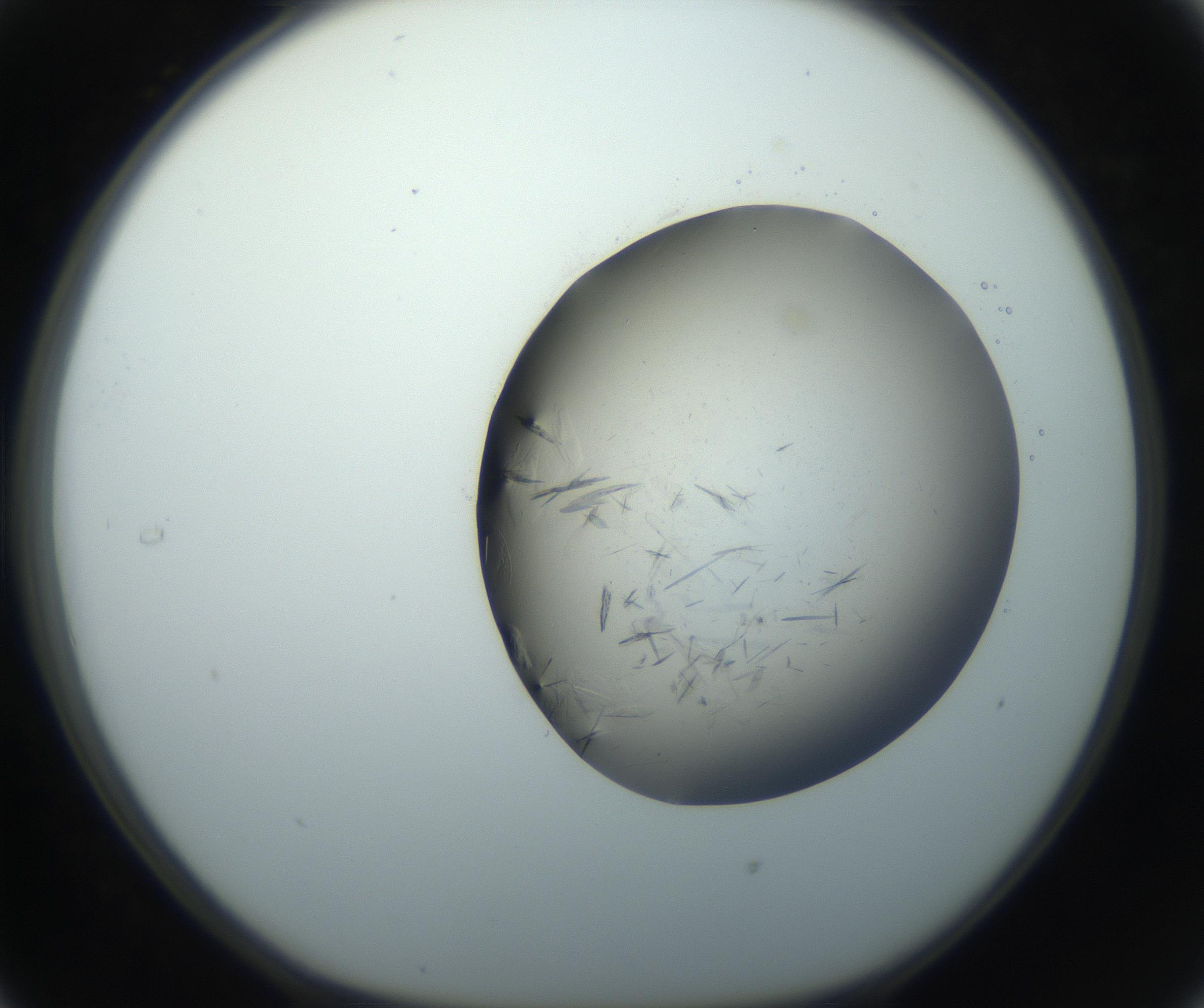 RI01_03_000_0212_Proj1_Clon1_MC_0000MC102759_002_160924_05_03_01_00_99_002_001_RAI.jpg