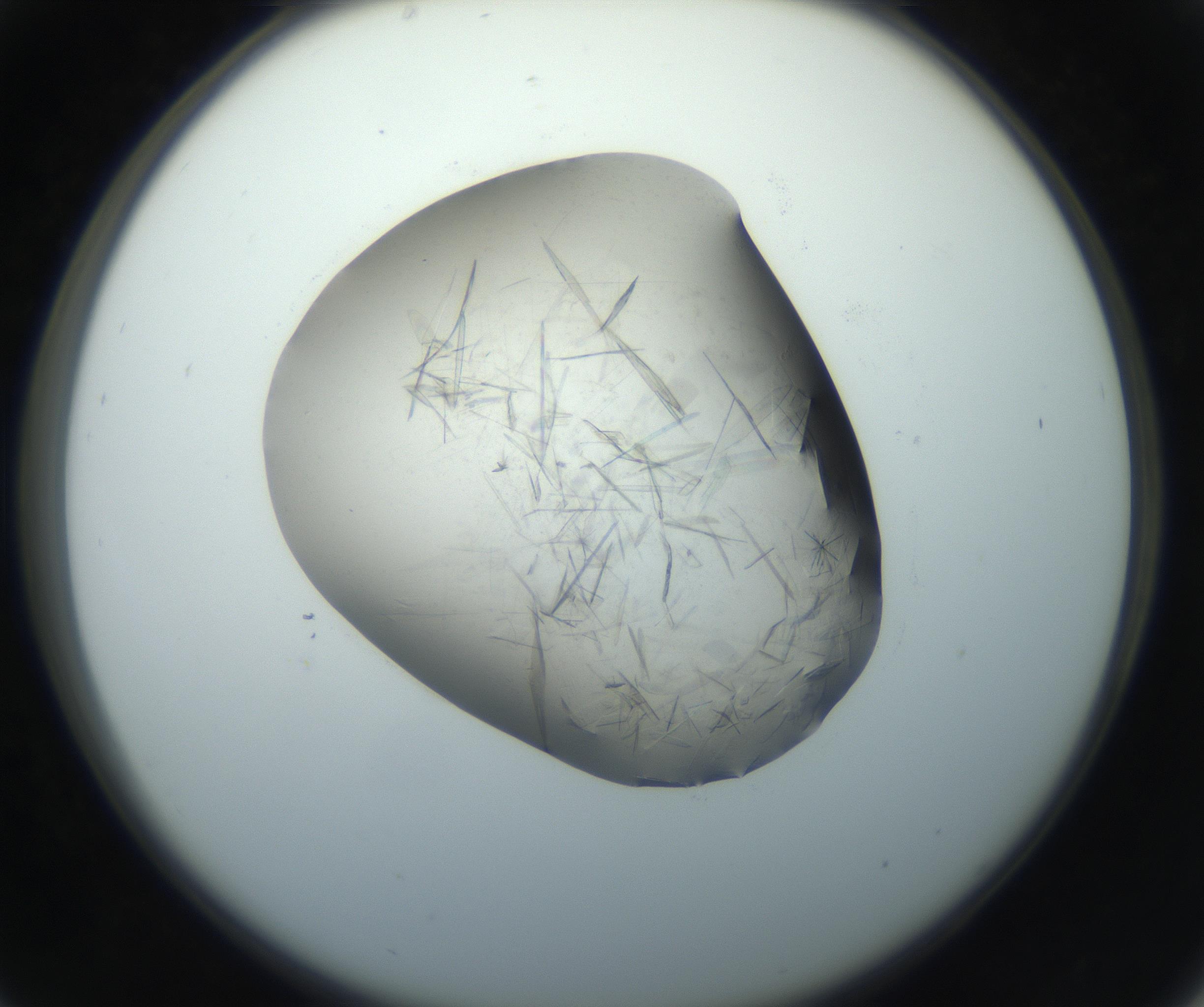 RI01_03_000_0212_Proj1_Clon1_MC_0000MC102759_002_160924_05_03_02_00_99_002_001_RAI.jpg