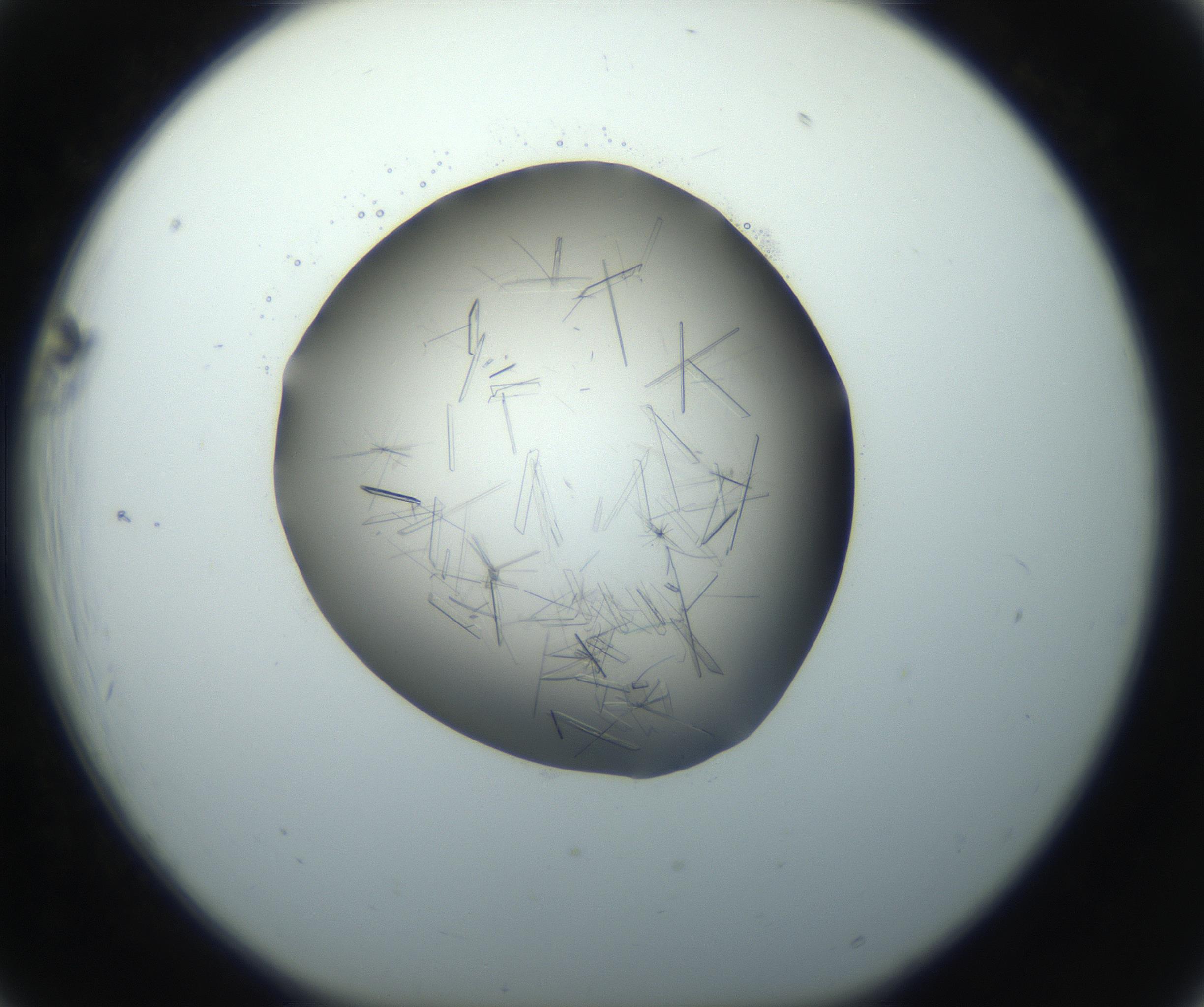 RI01_03_000_0212_Proj1_Clon1_MC_0000MC102759_002_160924_06_02_01_00_99_002_001_RAI.jpg