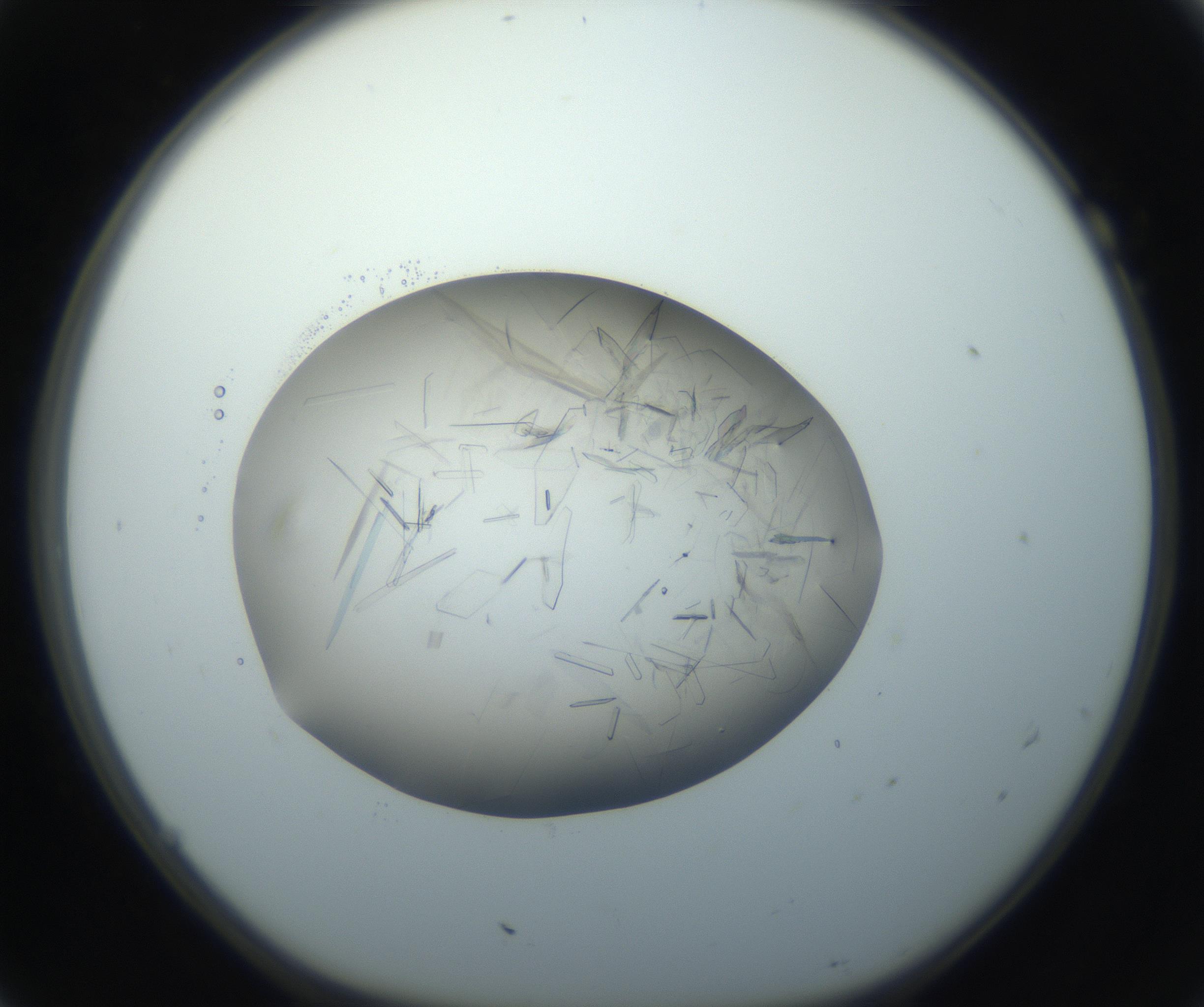 RI01_03_000_0212_Proj1_Clon1_MC_0000MC102759_002_160924_07_01_01_00_99_002_001_RAI.jpg