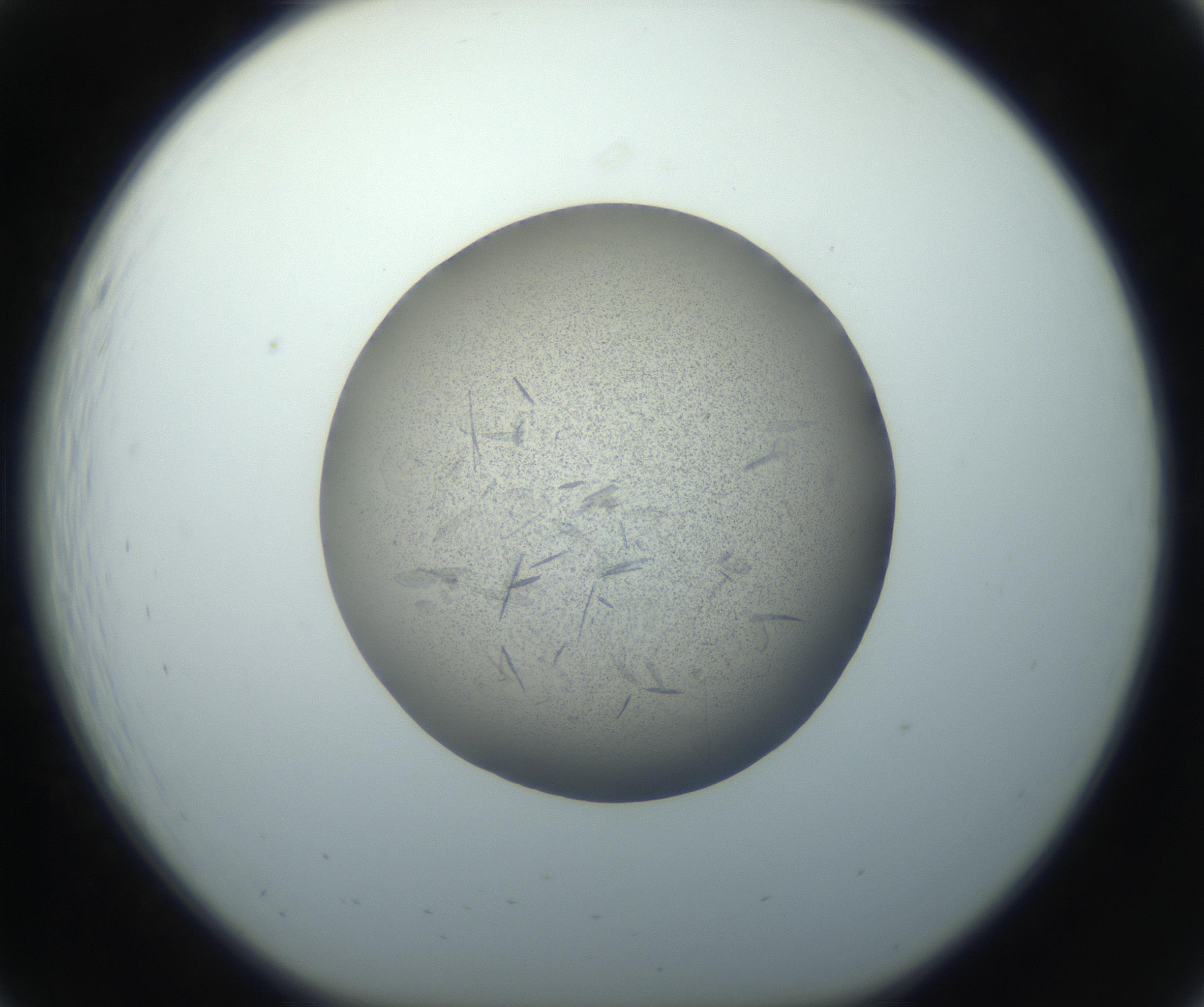 RI01_03_000_0212_Proj1_Clon1_MC_0000MC102759_002_160924_07_02_01_00_99_002_001_RAI.jpg