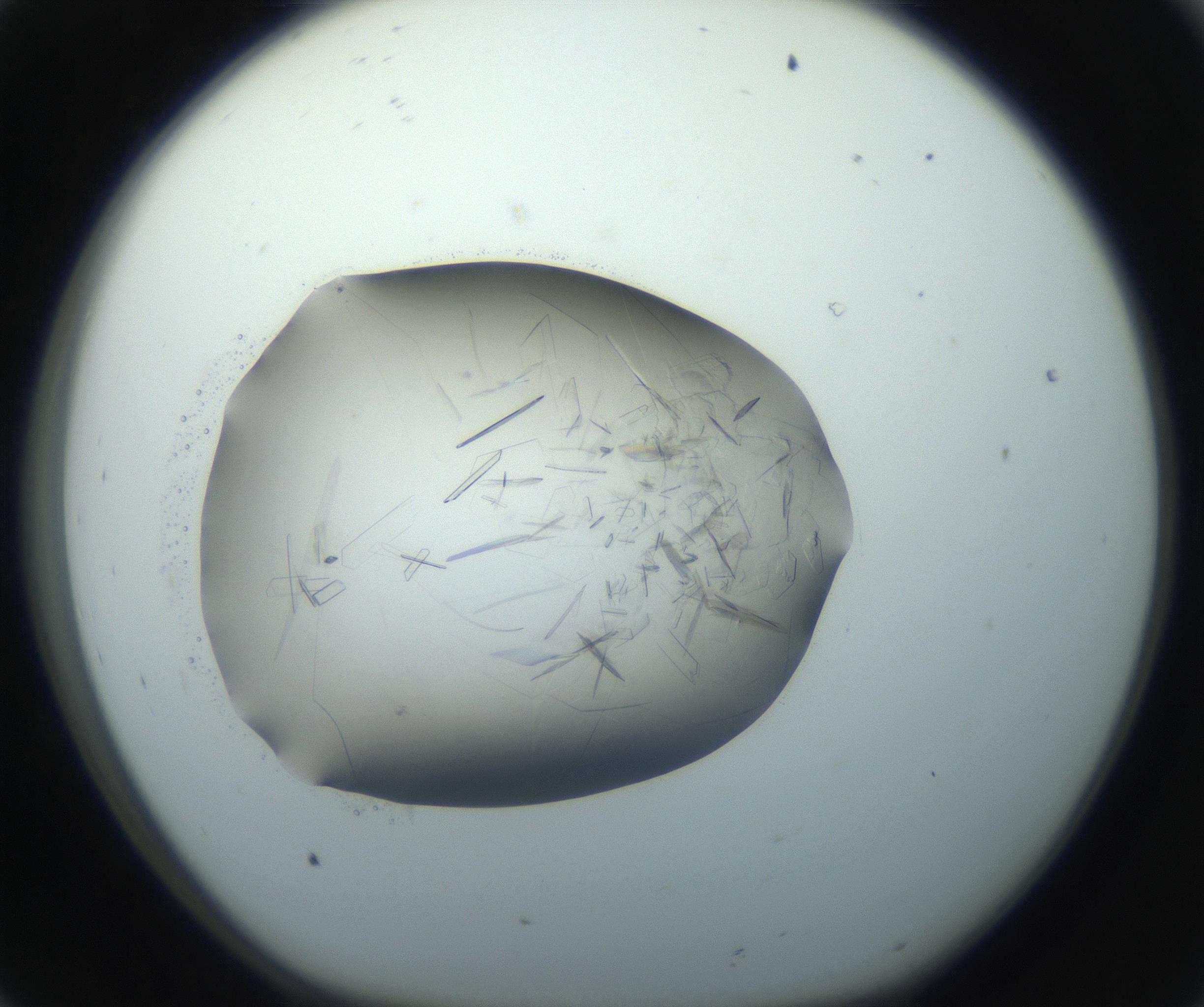 RI01_03_000_0212_Proj1_Clon1_MC_0000MC102759_002_160924_08_01_01_00_99_002_001_RAI.jpg