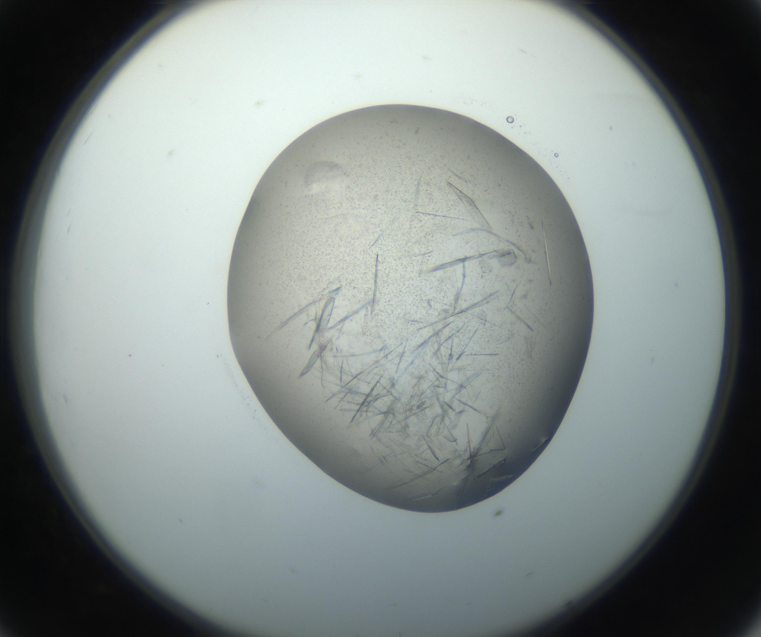 RI01_03_000_0212_Proj1_Clon1_MC_0000MC102759_002_160924_08_03_02_00_99_002_001_RAI.jpg