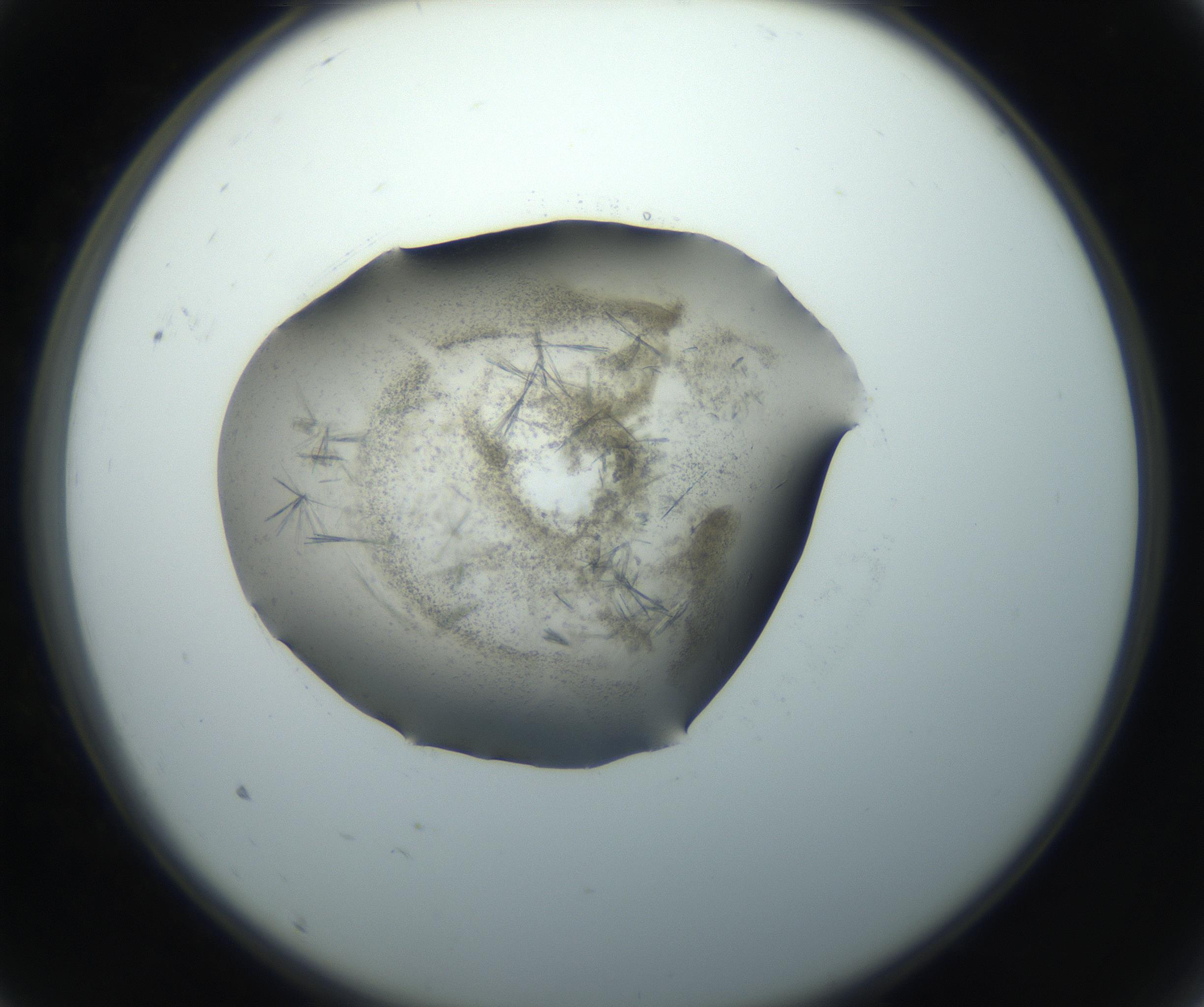 RI01_03_000_0212_Proj1_Clon1_MC_0000MC102759_002_160924_09_01_02_00_99_002_001_RAI.jpg