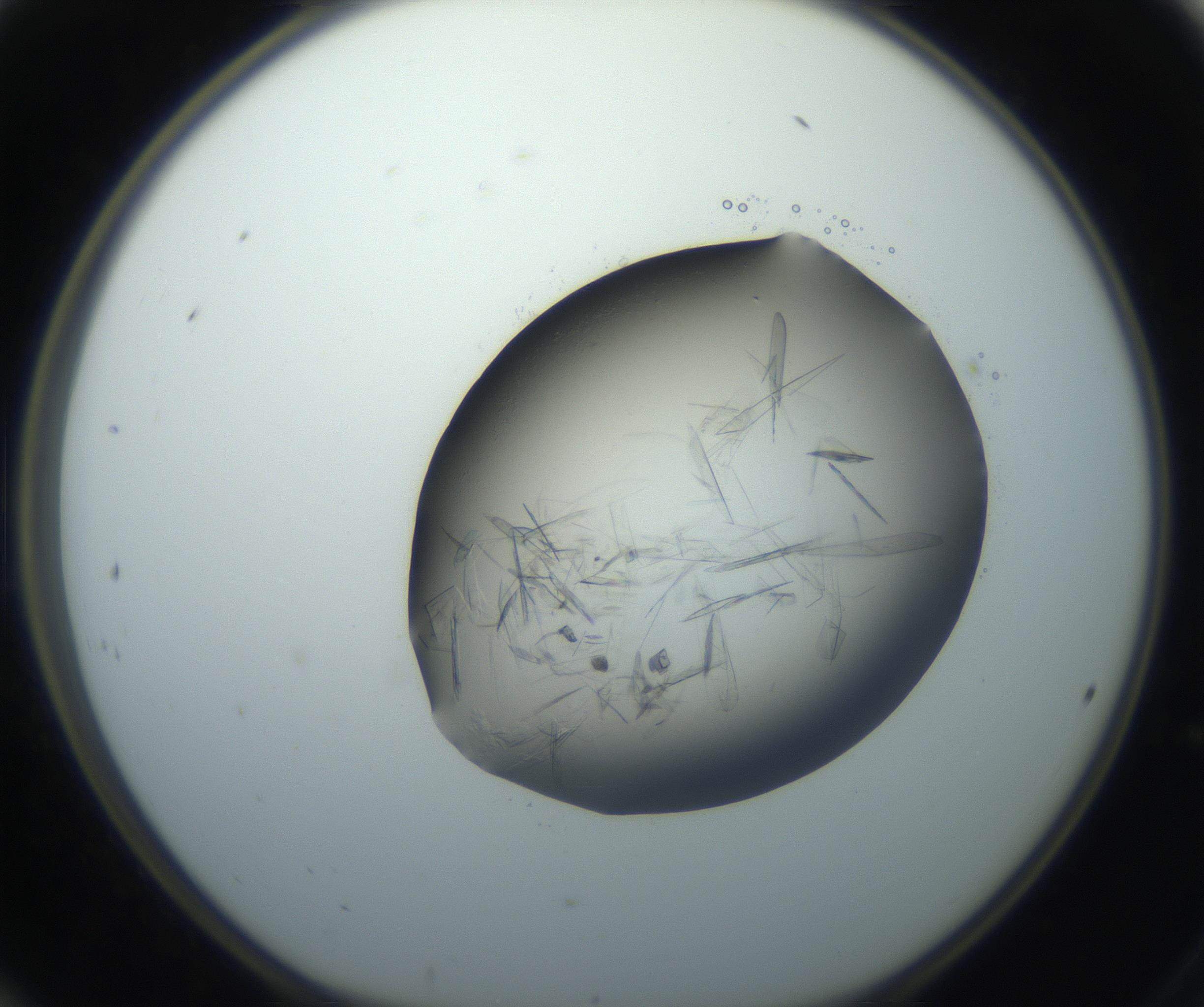 RI01_03_000_0212_Proj1_Clon1_MC_0000MC102759_002_160924_12_02_01_00_99_002_001_RAI.jpg