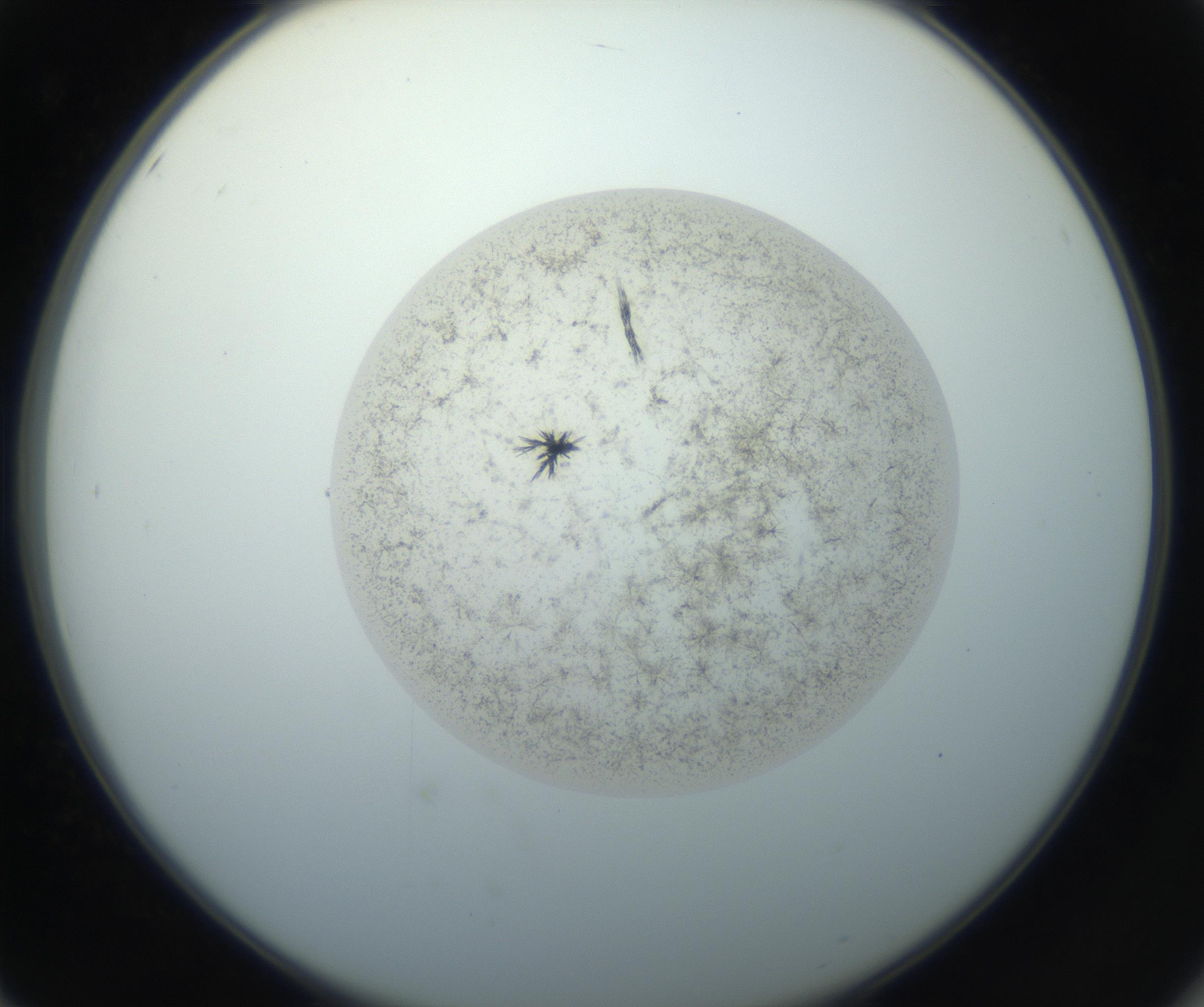 RI01_03_000_0212_Proj1_Clon1_MC_0000MC102760_002_160928_02_05_02_00_99_002_001_RAI.jpg