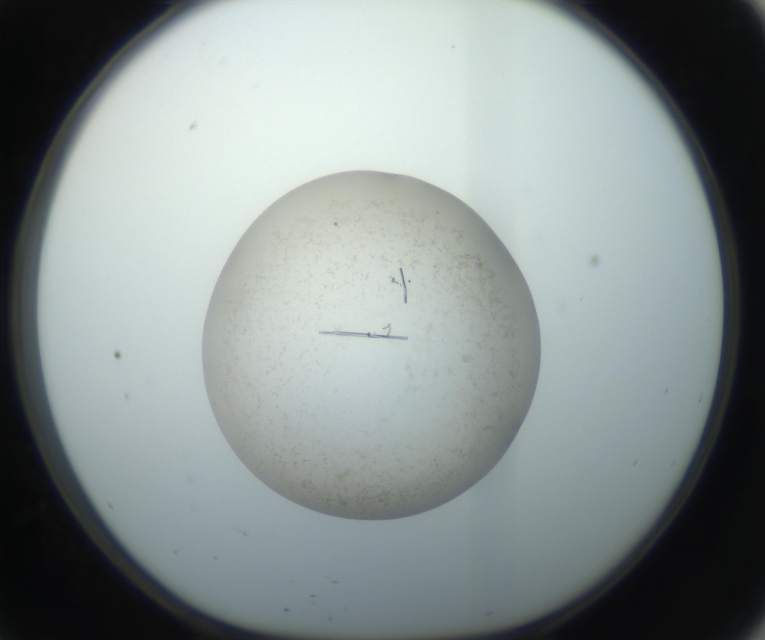 RI01_03_000_0212_Proj1_Clon1_MC_0000MC102760_002_160928_09_05_01_00_99_002_001_RAI.jpg