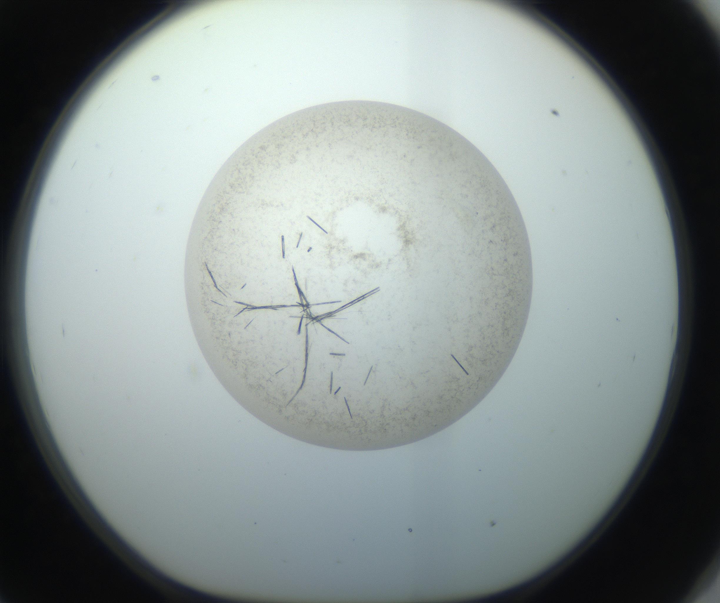 RI01_03_000_0212_Proj1_Clon1_MC_0000MC102760_002_160928_09_08_01_00_99_002_001_RAI.jpg