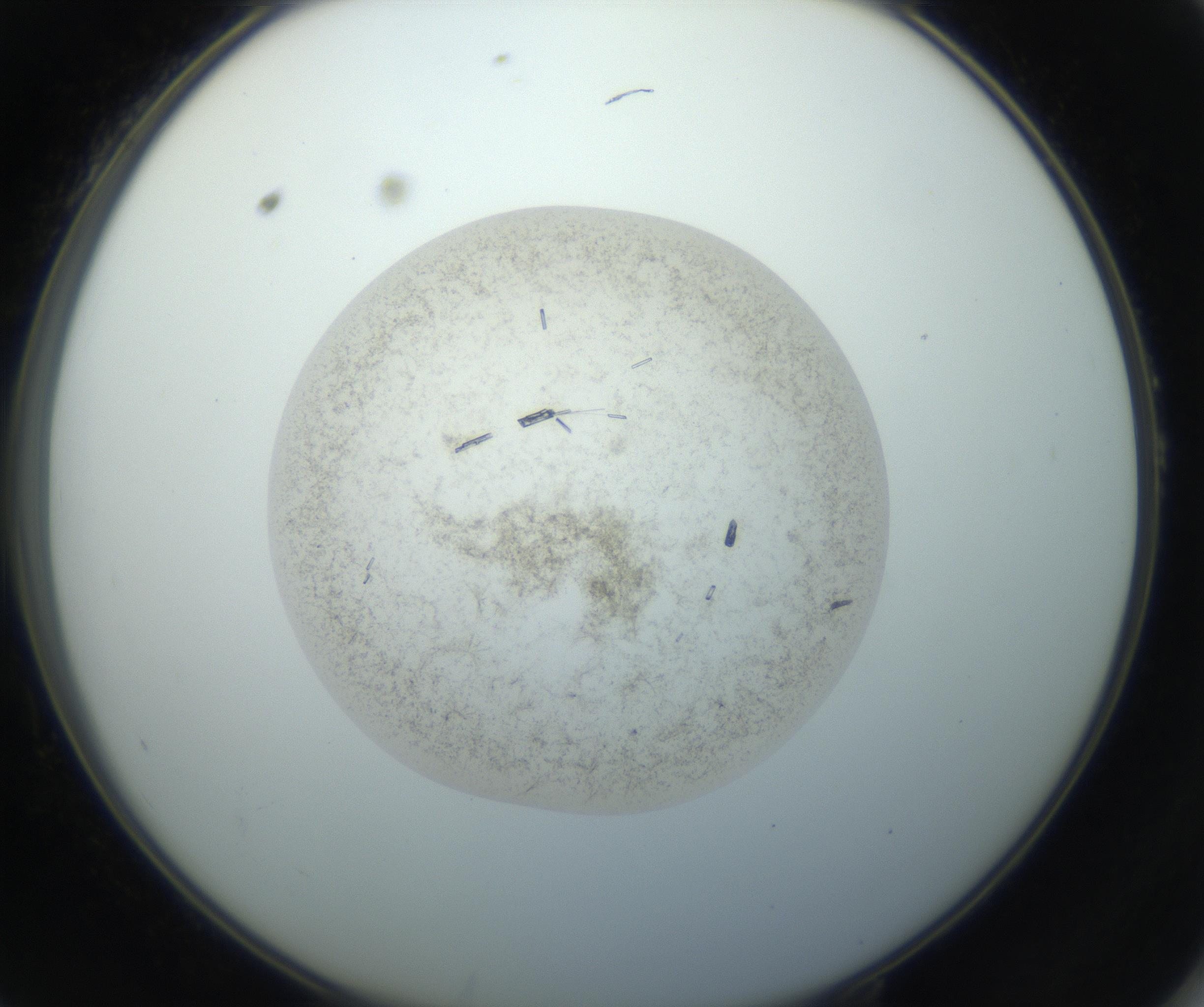 RI01_03_000_0212_Proj1_Clon1_MC_0000MC102760_002_160928_10_05_02_00_99_002_001_RAI.jpg