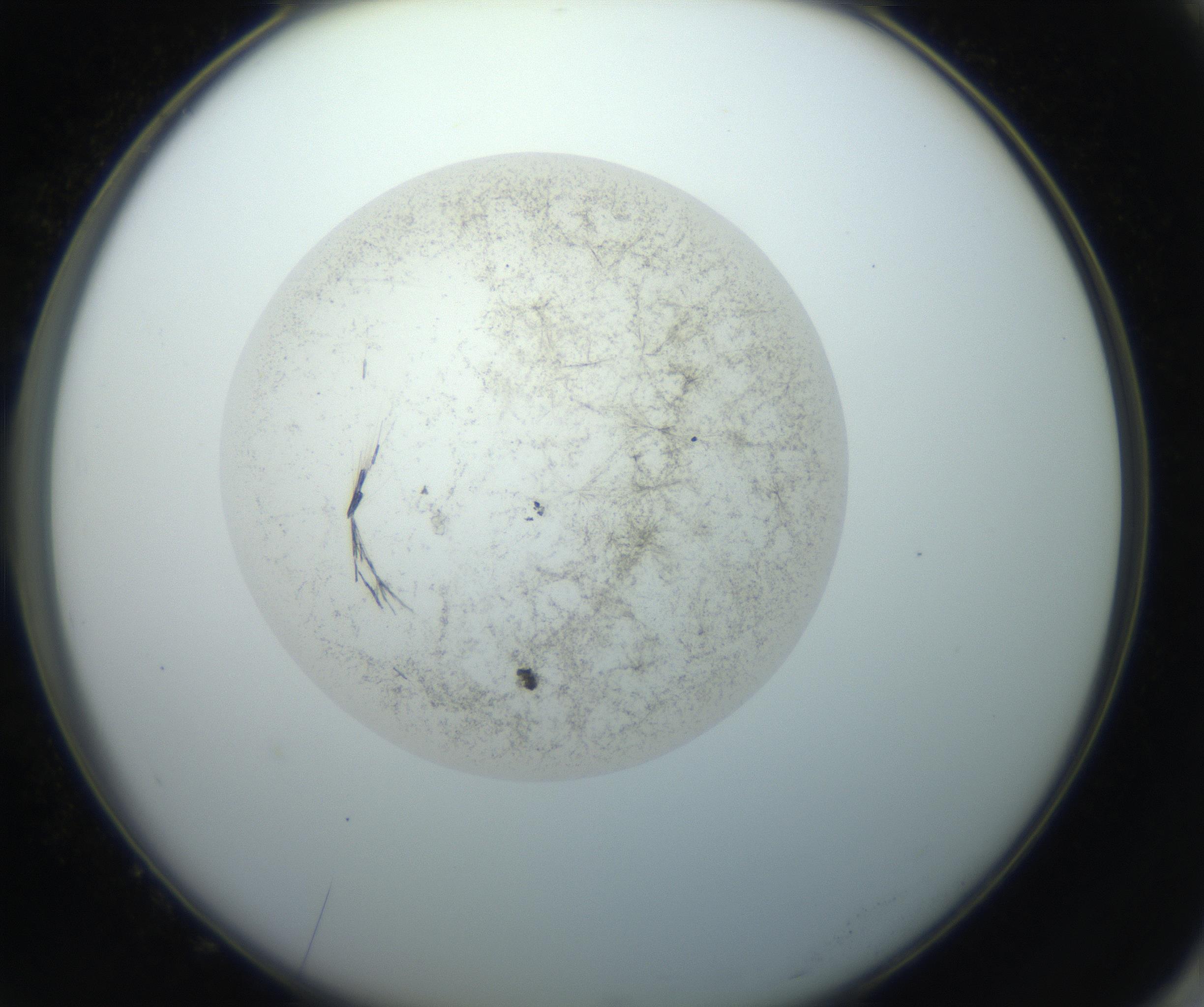 RI01_03_000_0212_Proj1_Clon1_MC_0000MC102760_002_160928_10_07_02_00_99_002_001_RAI.jpg