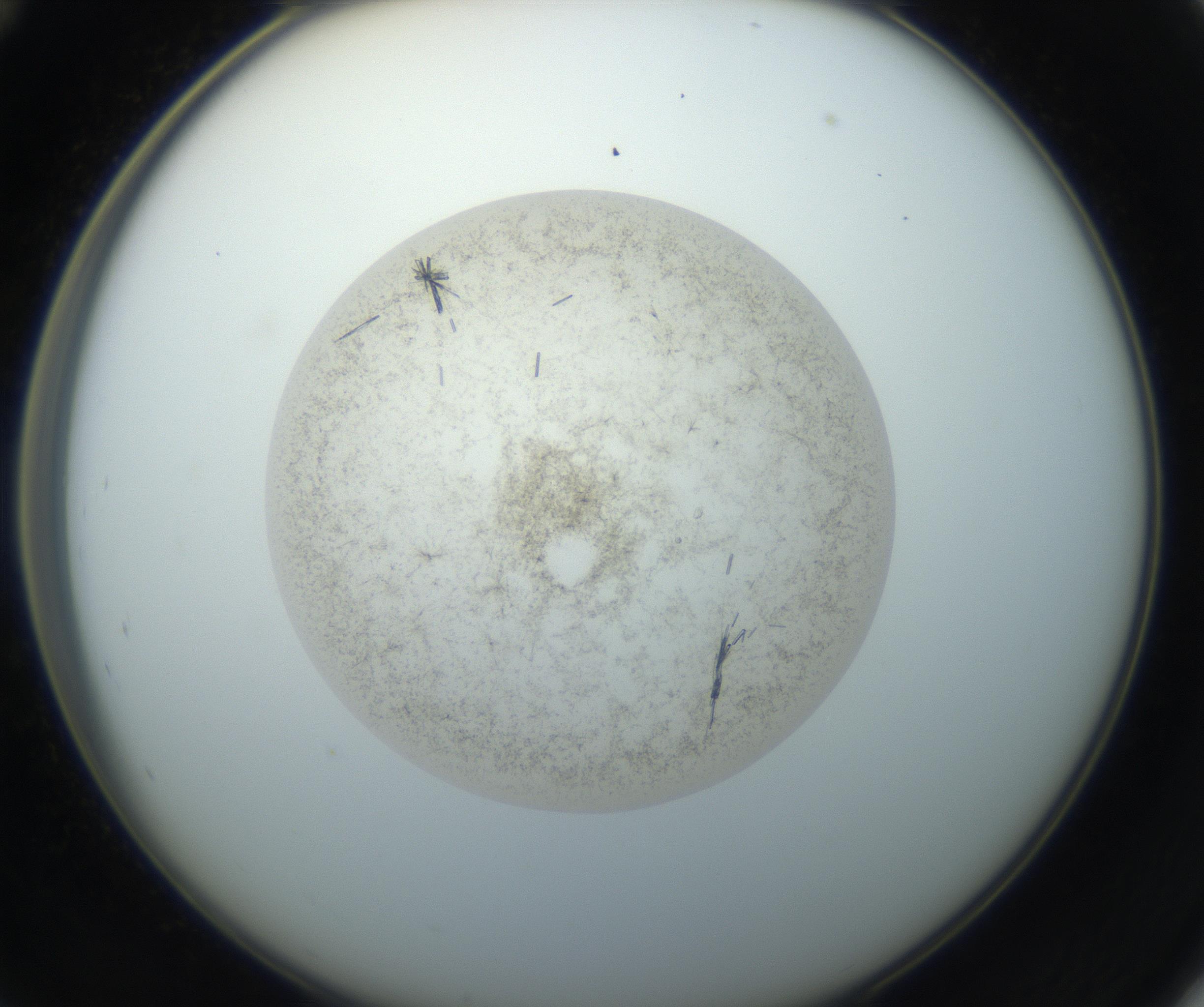 RI01_03_000_0212_Proj1_Clon1_MC_0000MC102760_002_160928_12_04_02_00_99_002_001_RAI.jpg
