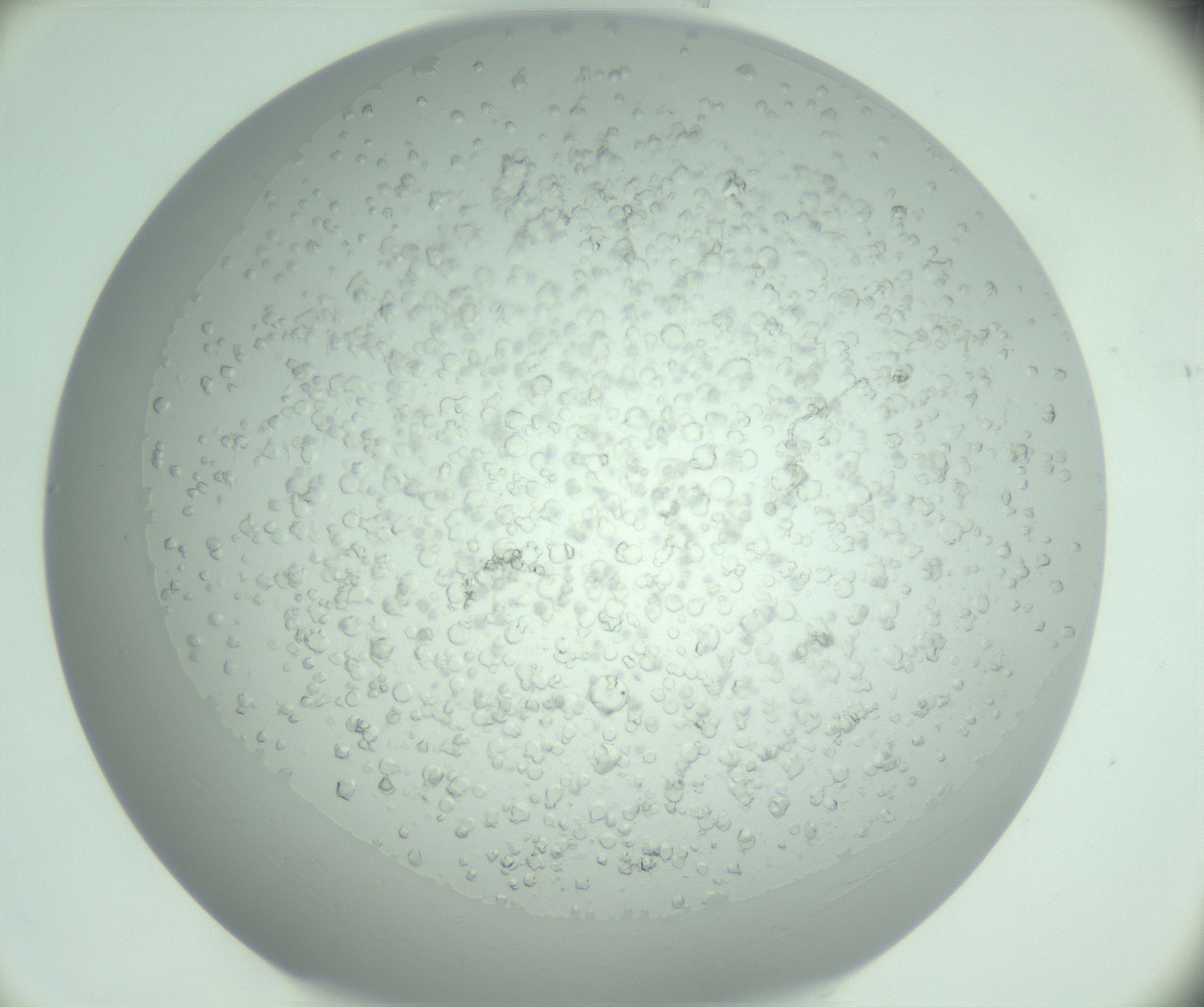 RI01_03_000_0212_Proj1_Clon1_MC_0000MC102770_016_161207_06_04_01_00_99_002_001_RAI.jpg