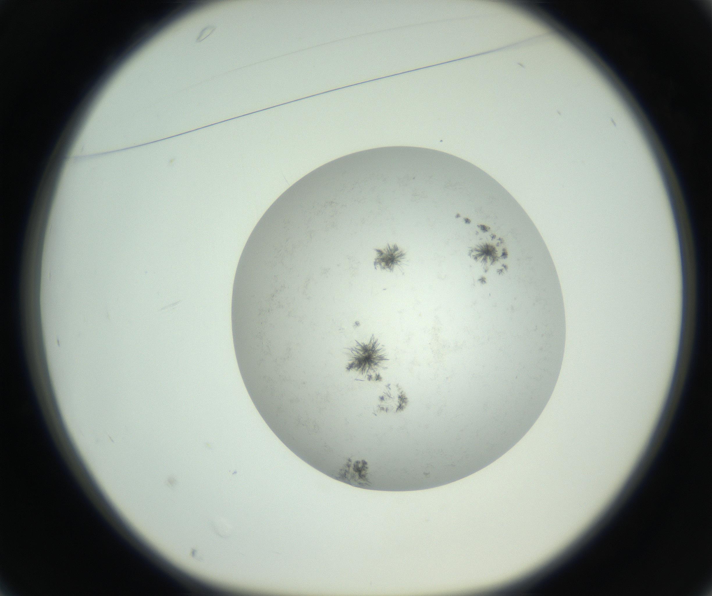 RI01_03_000_0212_Proj1_Clon1_MC_0000MC102779_002_160929_01_03_01_00_99_002_001_RAI.jpg