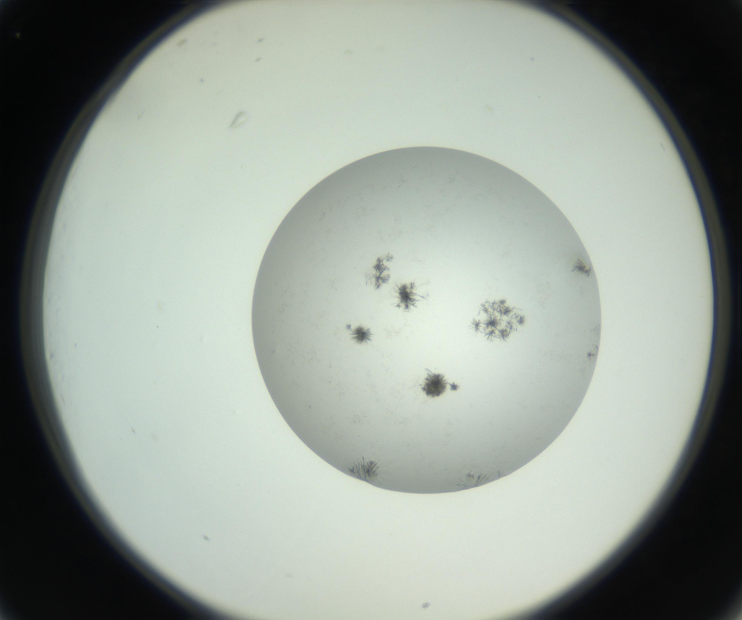 RI01_03_000_0212_Proj1_Clon1_MC_0000MC102779_002_160929_01_03_02_00_99_002_001_RAI.jpg