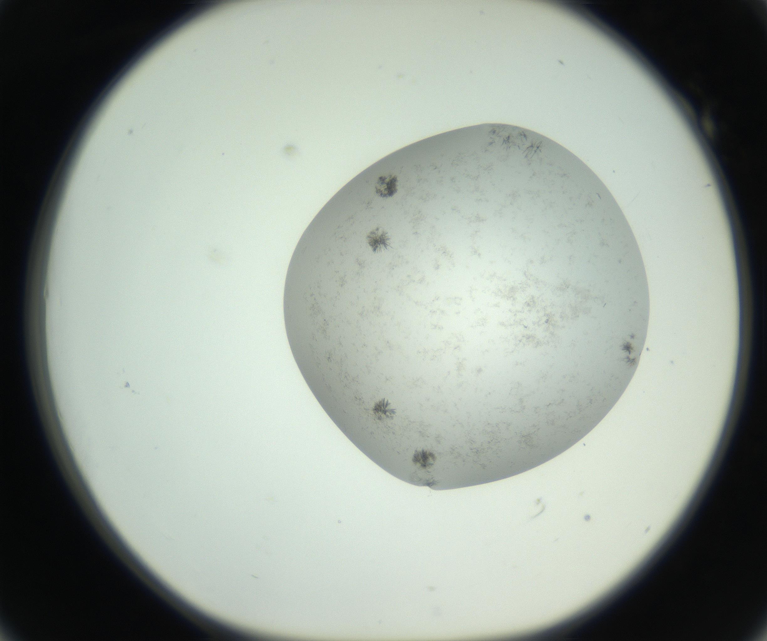 RI01_03_000_0212_Proj1_Clon1_MC_0000MC102779_002_160929_01_05_01_00_99_002_001_RAI.jpg