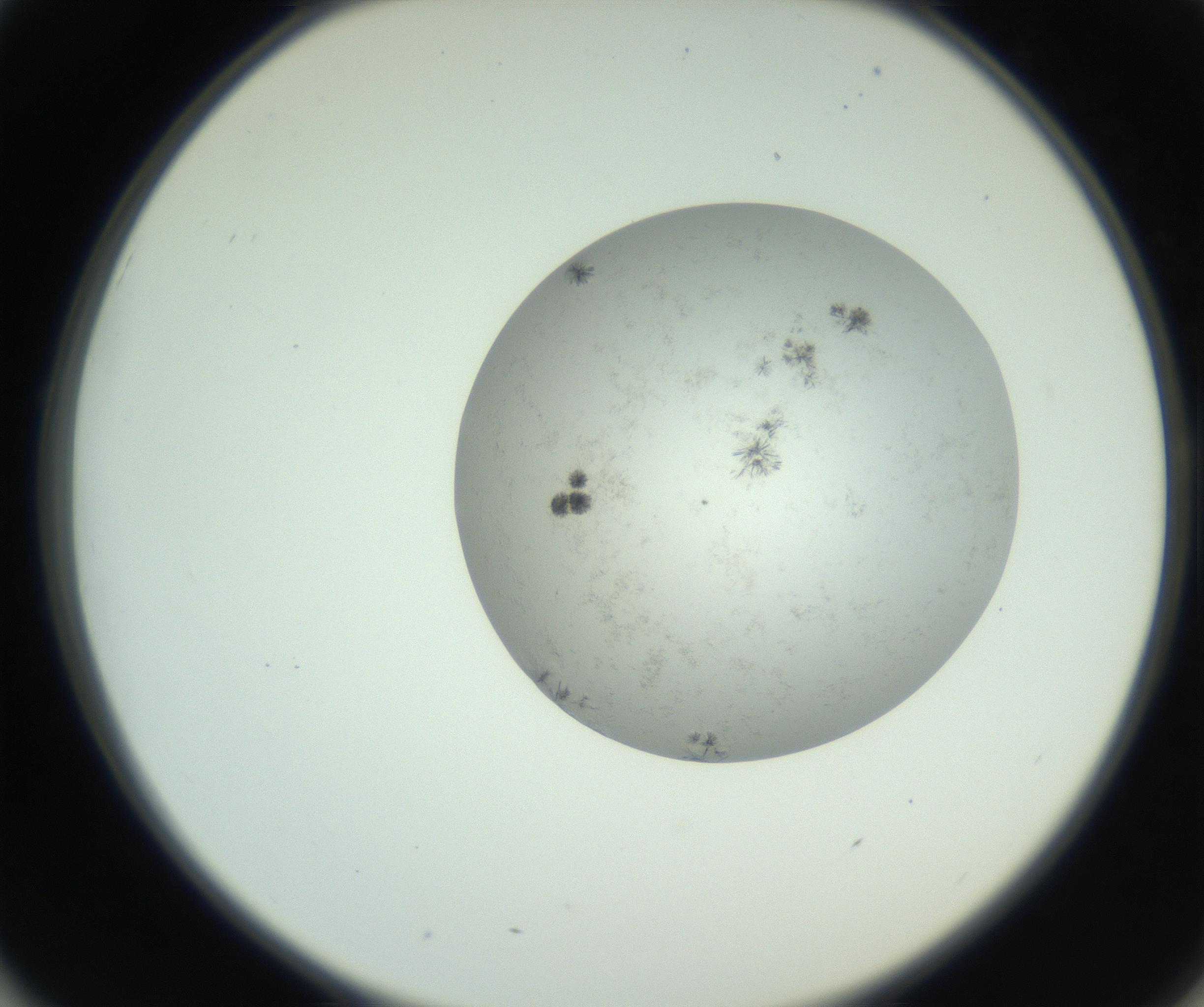 RI01_03_000_0212_Proj1_Clon1_MC_0000MC102779_002_160929_01_05_02_00_99_002_001_RAI.jpg