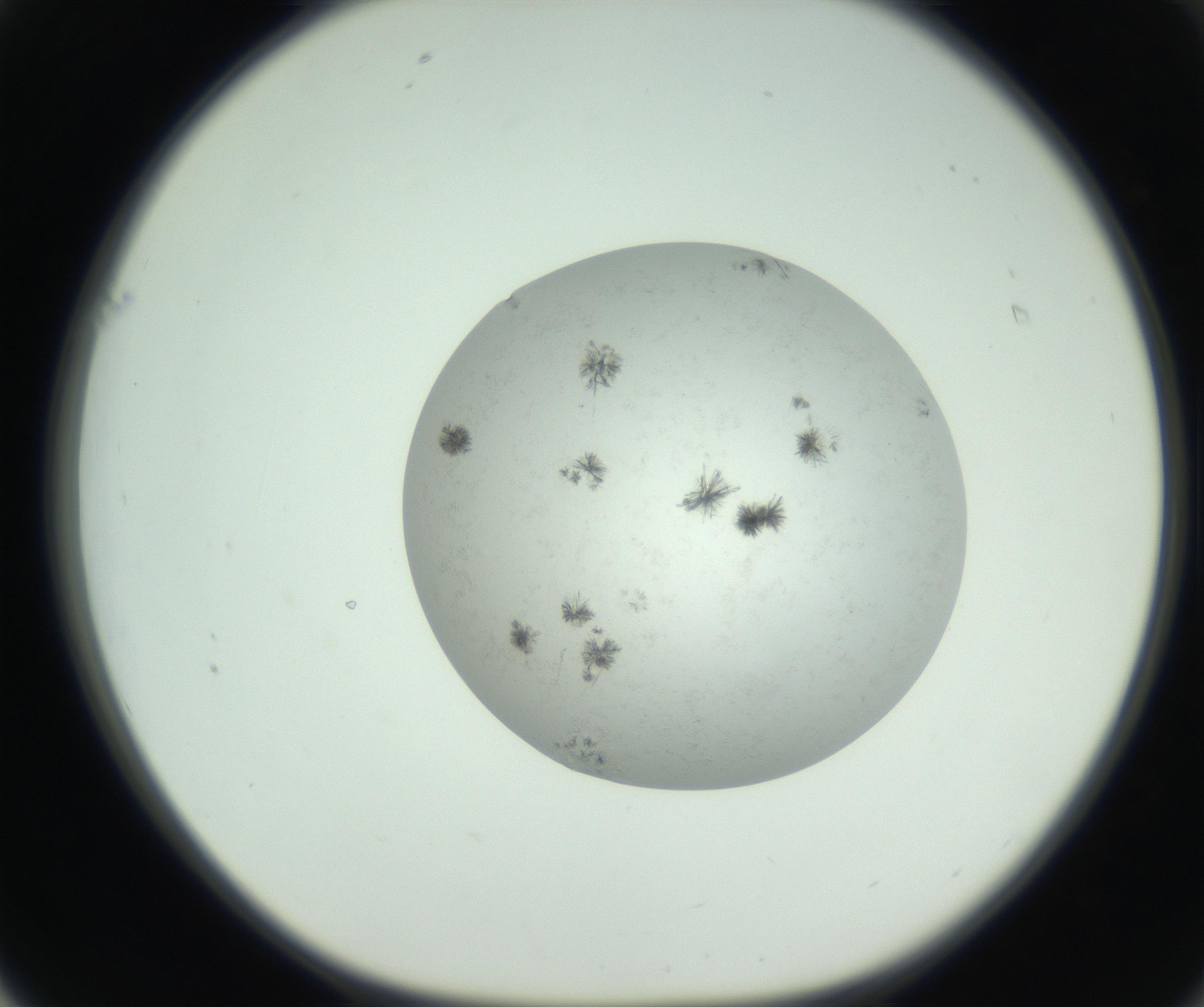 RI01_03_000_0212_Proj1_Clon1_MC_0000MC102779_002_160929_01_06_01_00_99_002_001_RAI.jpg