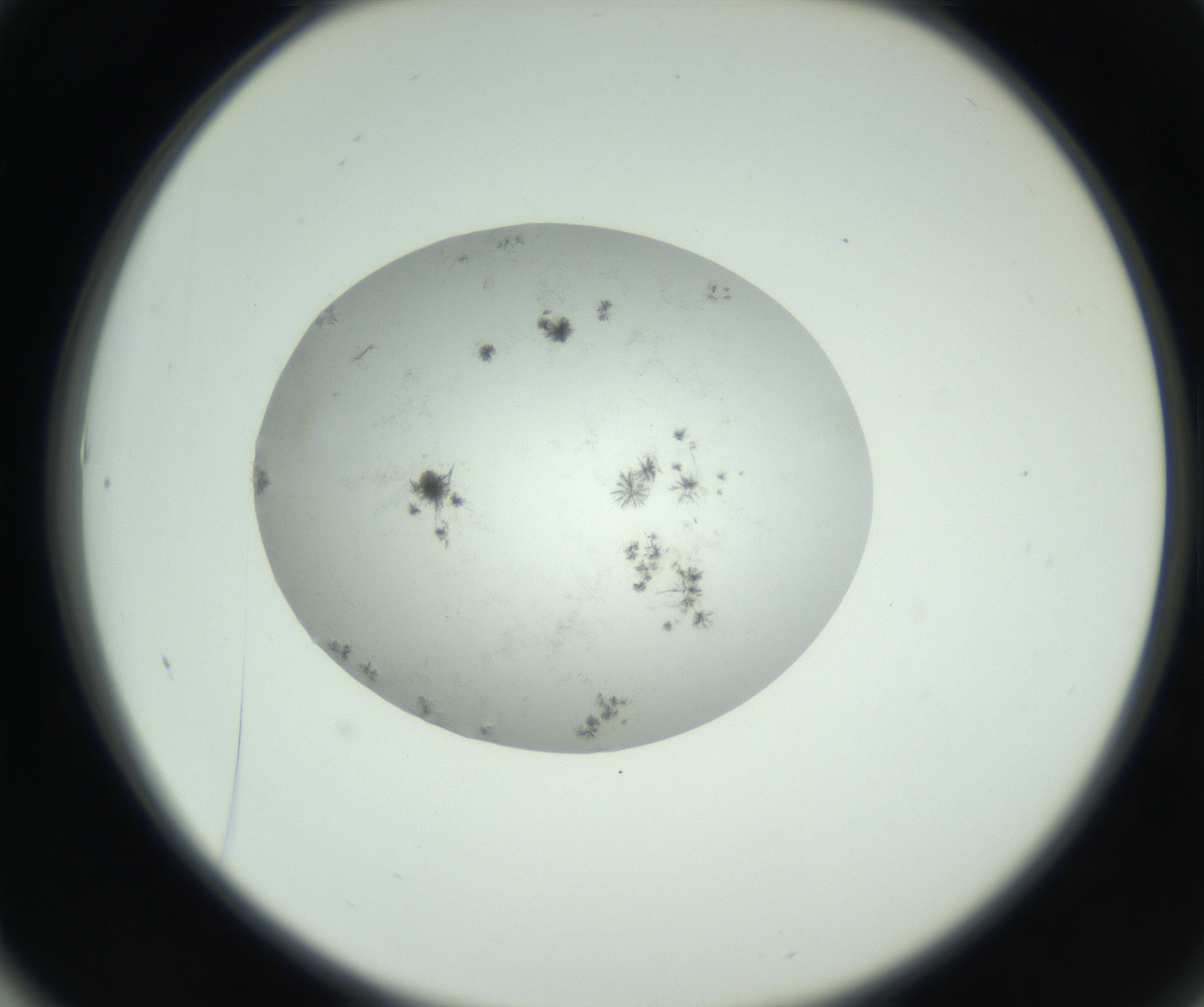 RI01_03_000_0212_Proj1_Clon1_MC_0000MC102779_002_160929_01_06_02_00_99_002_001_RAI.jpg