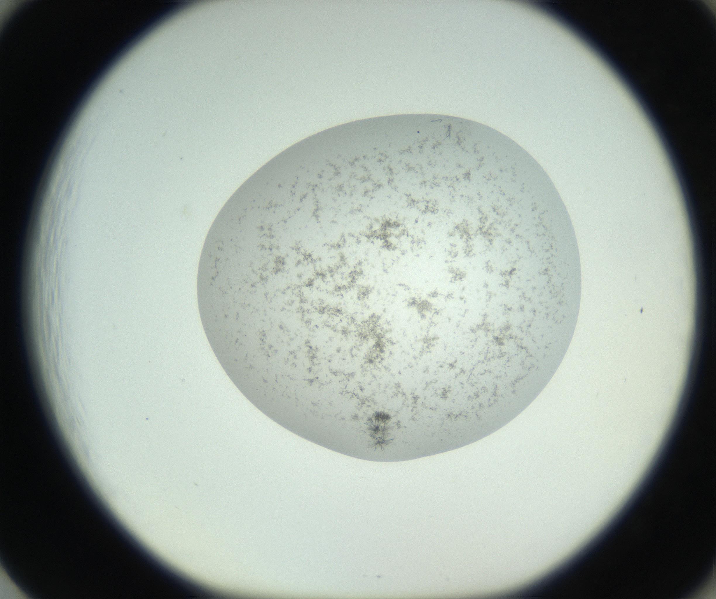 RI01_03_000_0212_Proj1_Clon1_MC_0000MC102779_002_160929_01_08_01_00_99_002_001_RAI.jpg