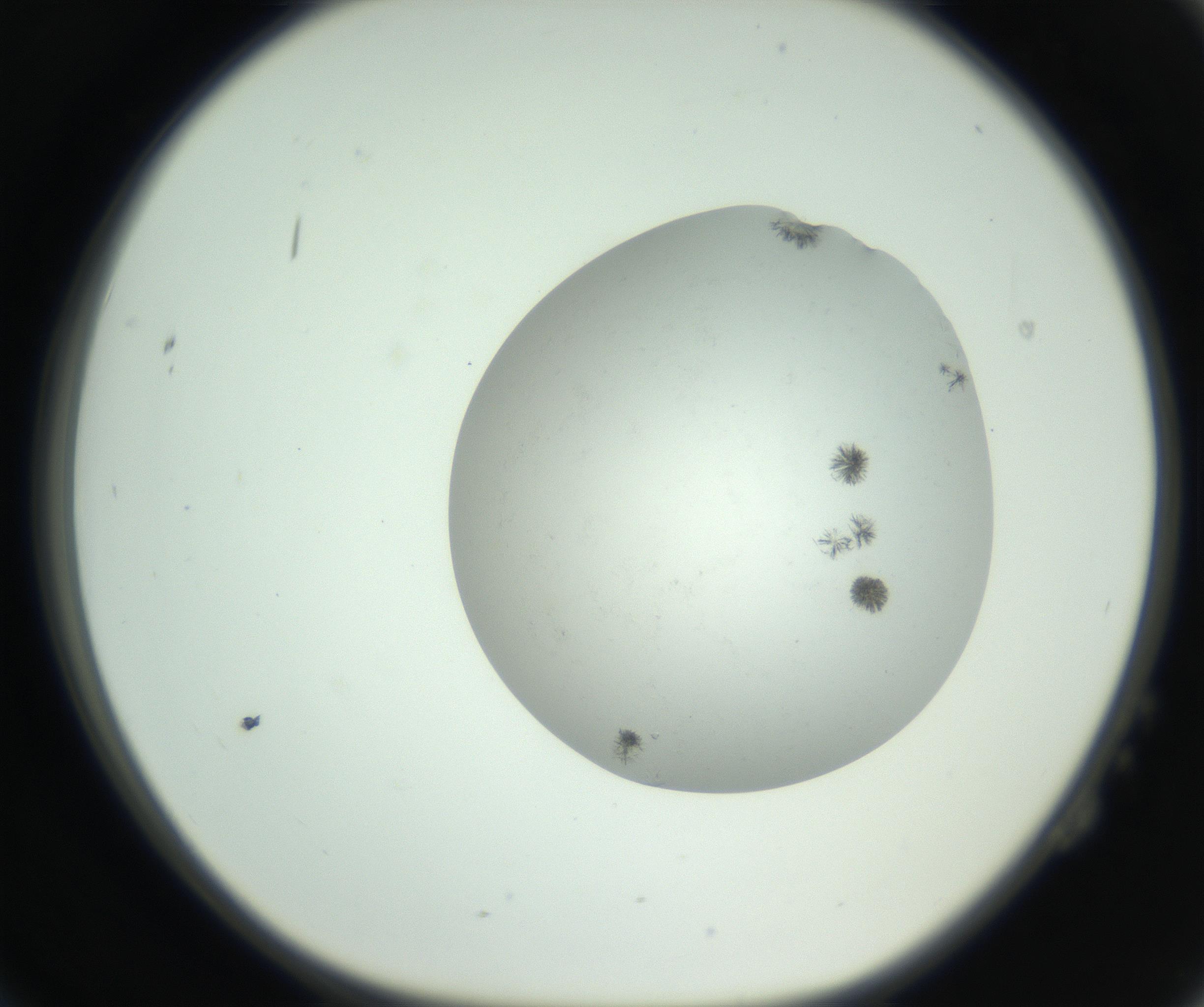 RI01_03_000_0212_Proj1_Clon1_MC_0000MC102779_002_160929_02_02_01_00_99_002_001_RAI.jpg