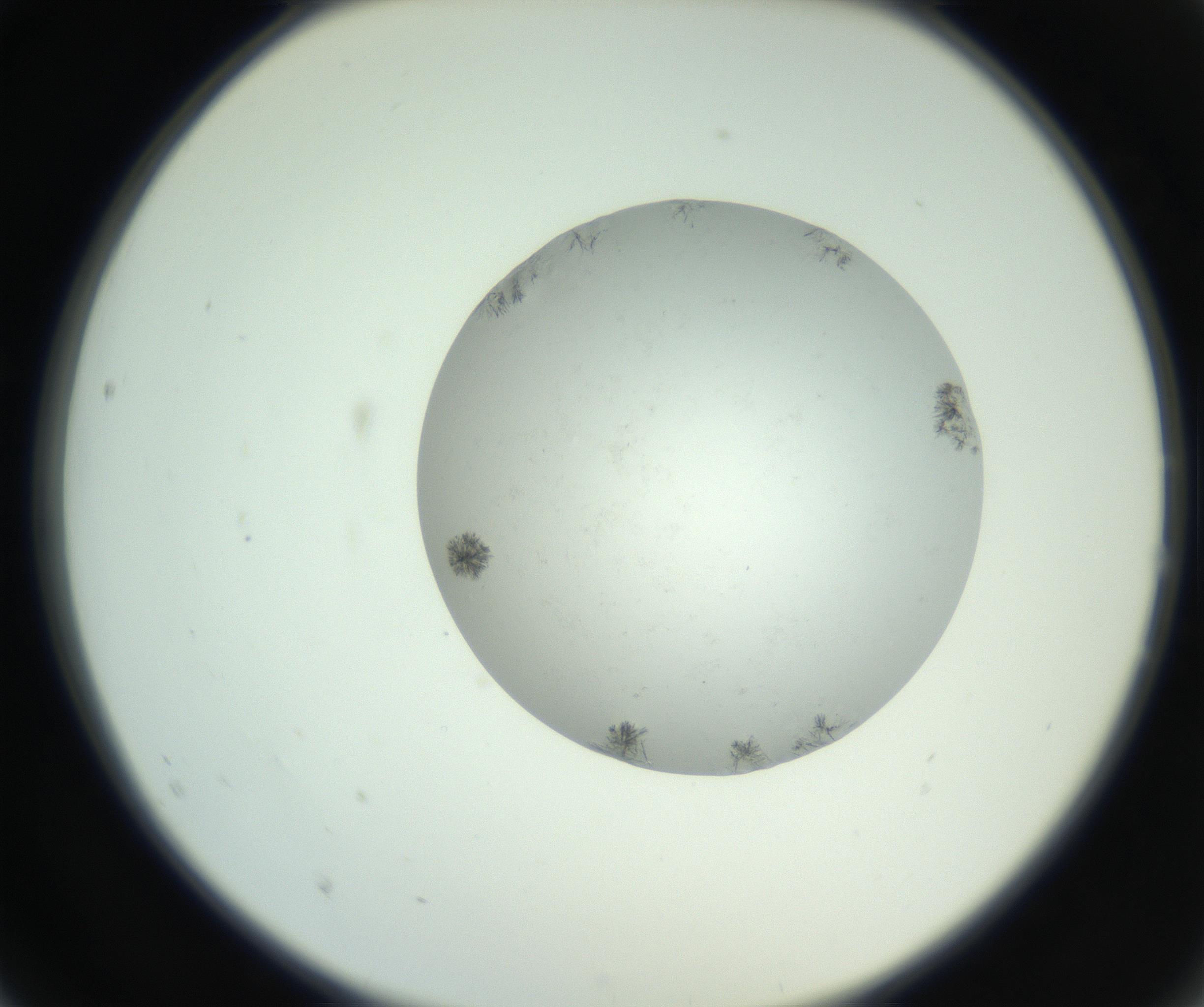 RI01_03_000_0212_Proj1_Clon1_MC_0000MC102779_002_160929_02_02_02_00_99_002_001_RAI.jpg