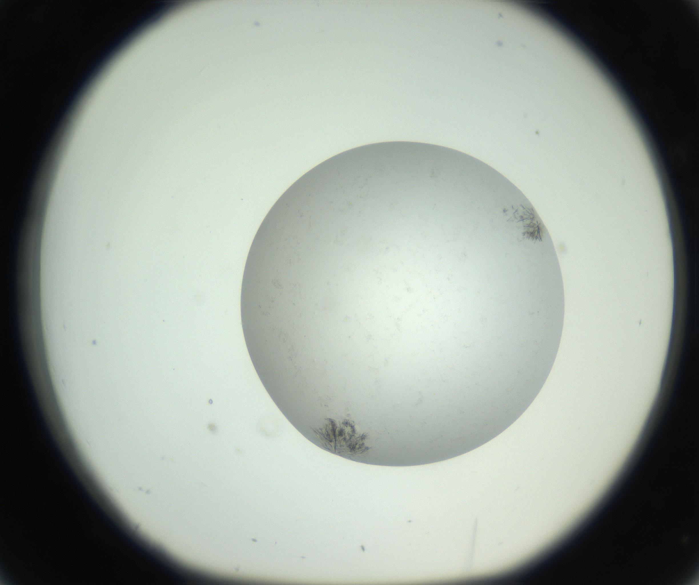 RI01_03_000_0212_Proj1_Clon1_MC_0000MC102779_002_160929_02_03_01_00_99_002_001_RAI.jpg